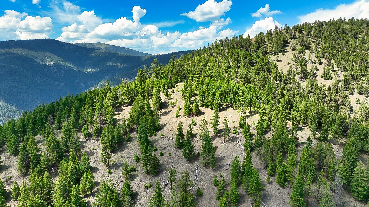 Nhn Switchback Ranch Property Photo 52