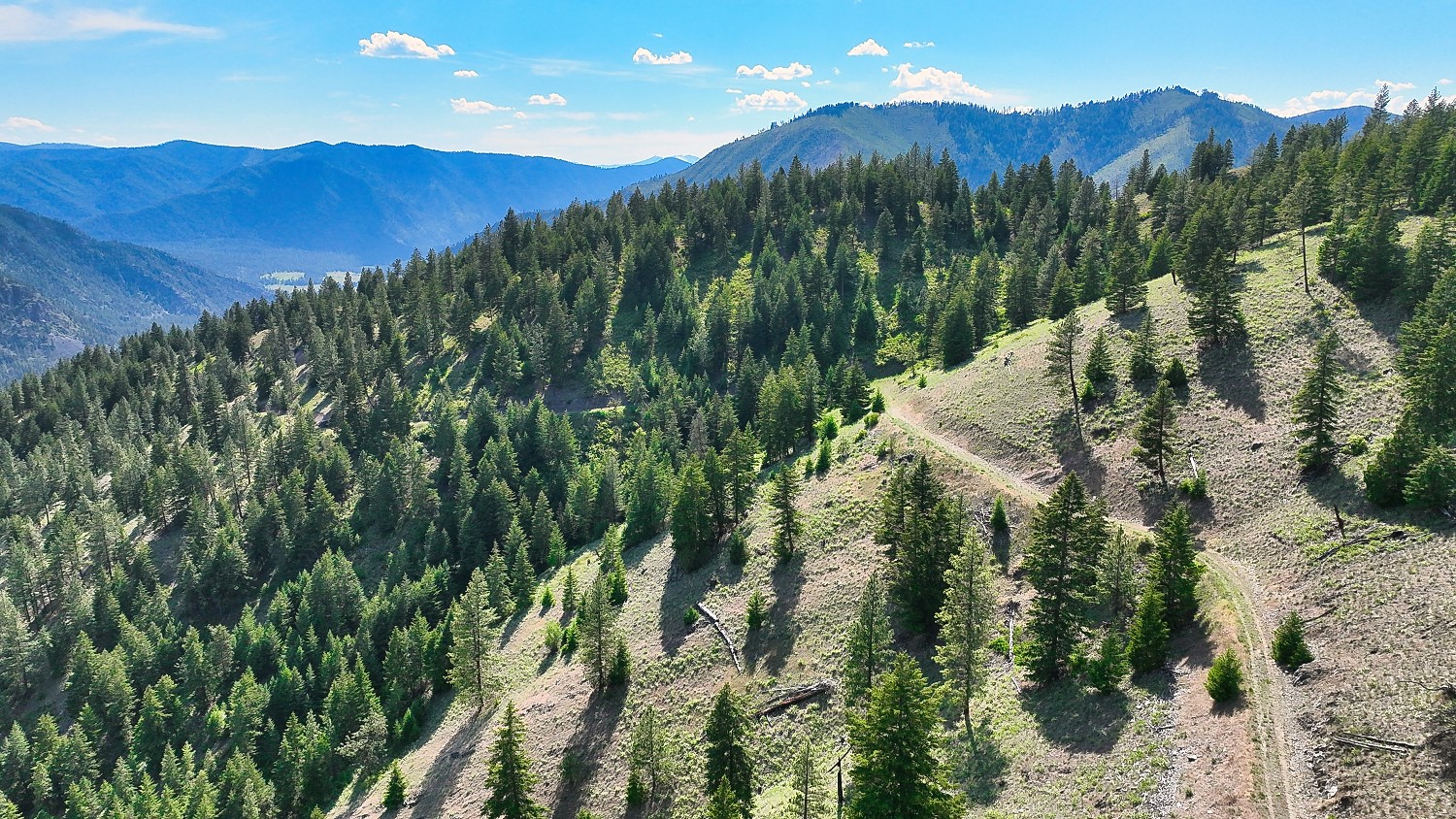 Nhn Switchback Ranch Property Photo 53