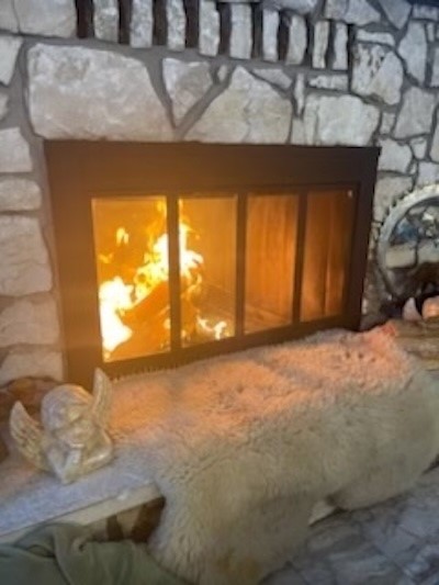 14025 Hampton Drive Property Photo 16