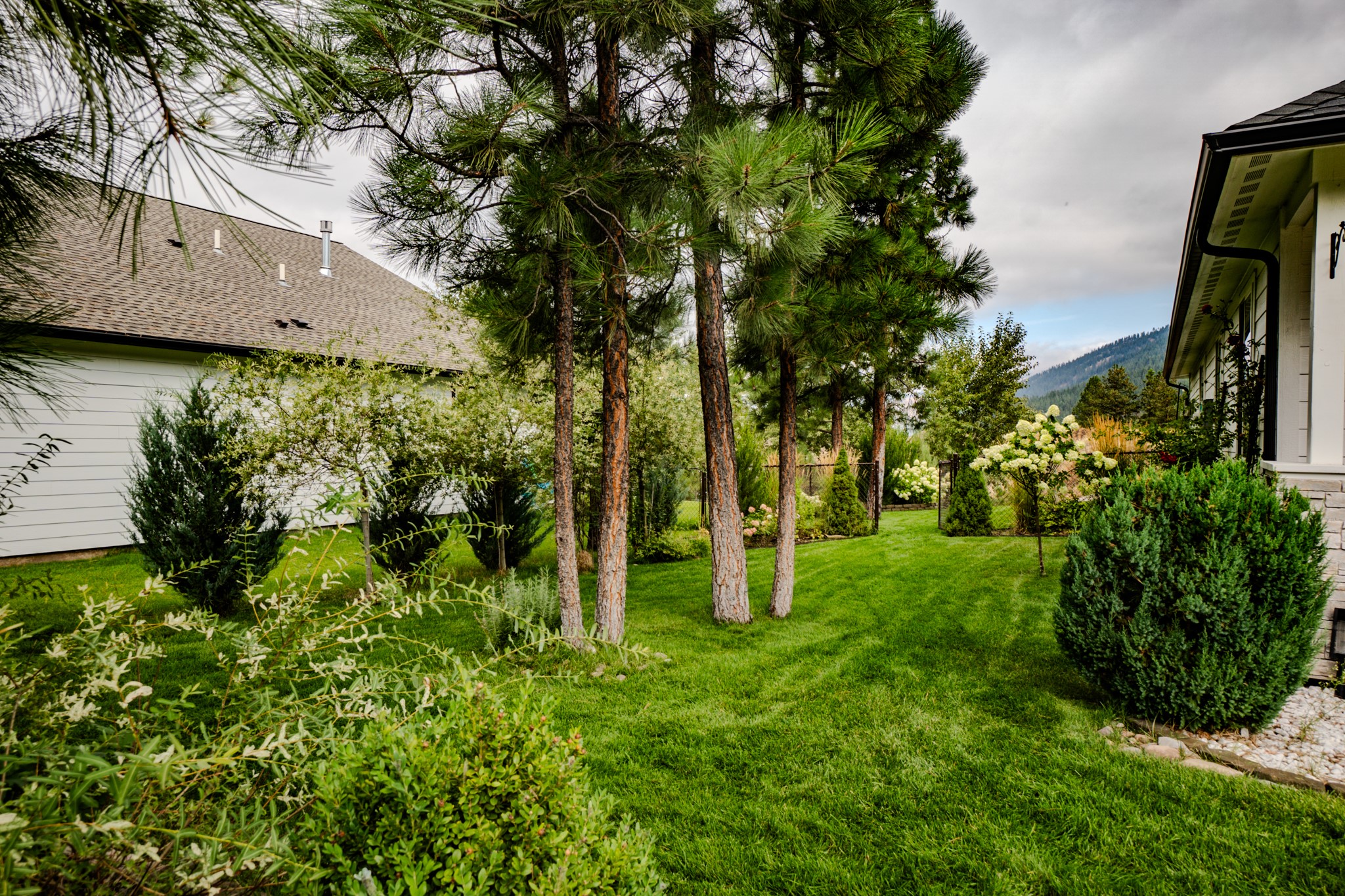 11596 Ninebark Way Property Photo 8