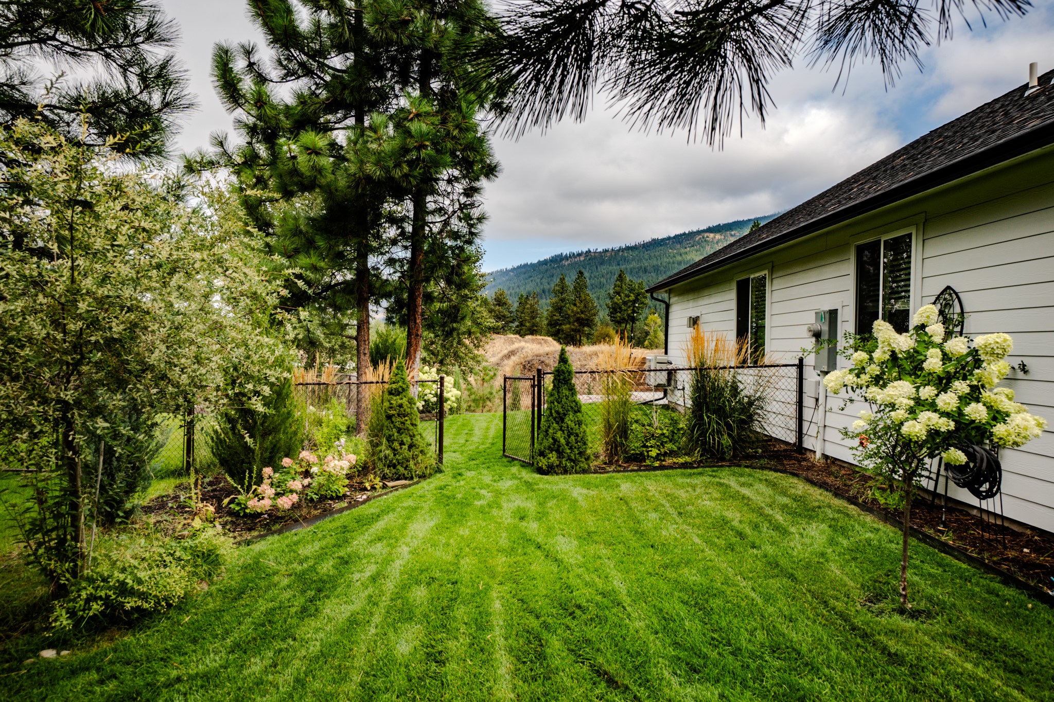 11596 Ninebark Way Property Photo 10