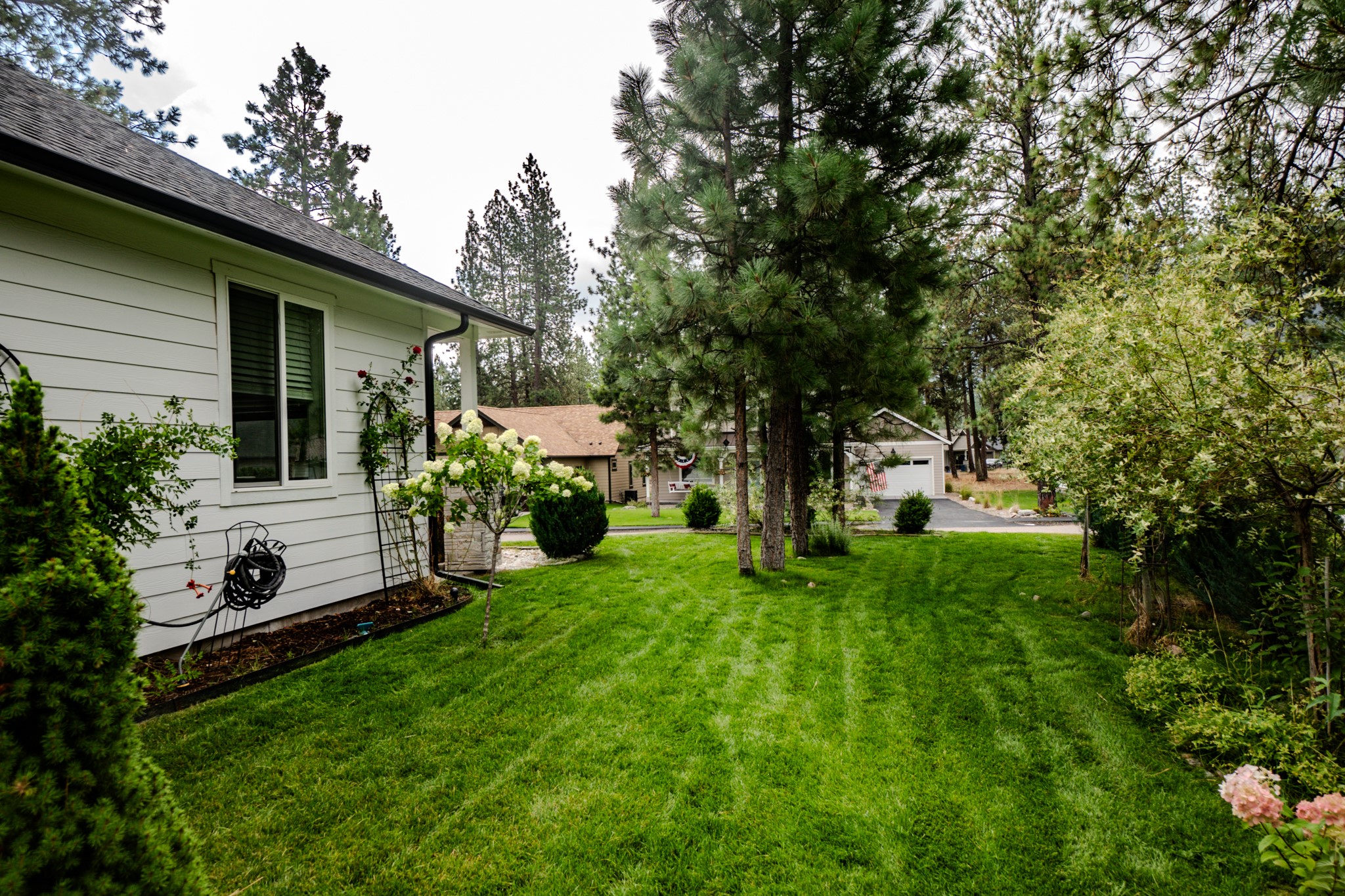 11596 Ninebark Way Property Photo 11