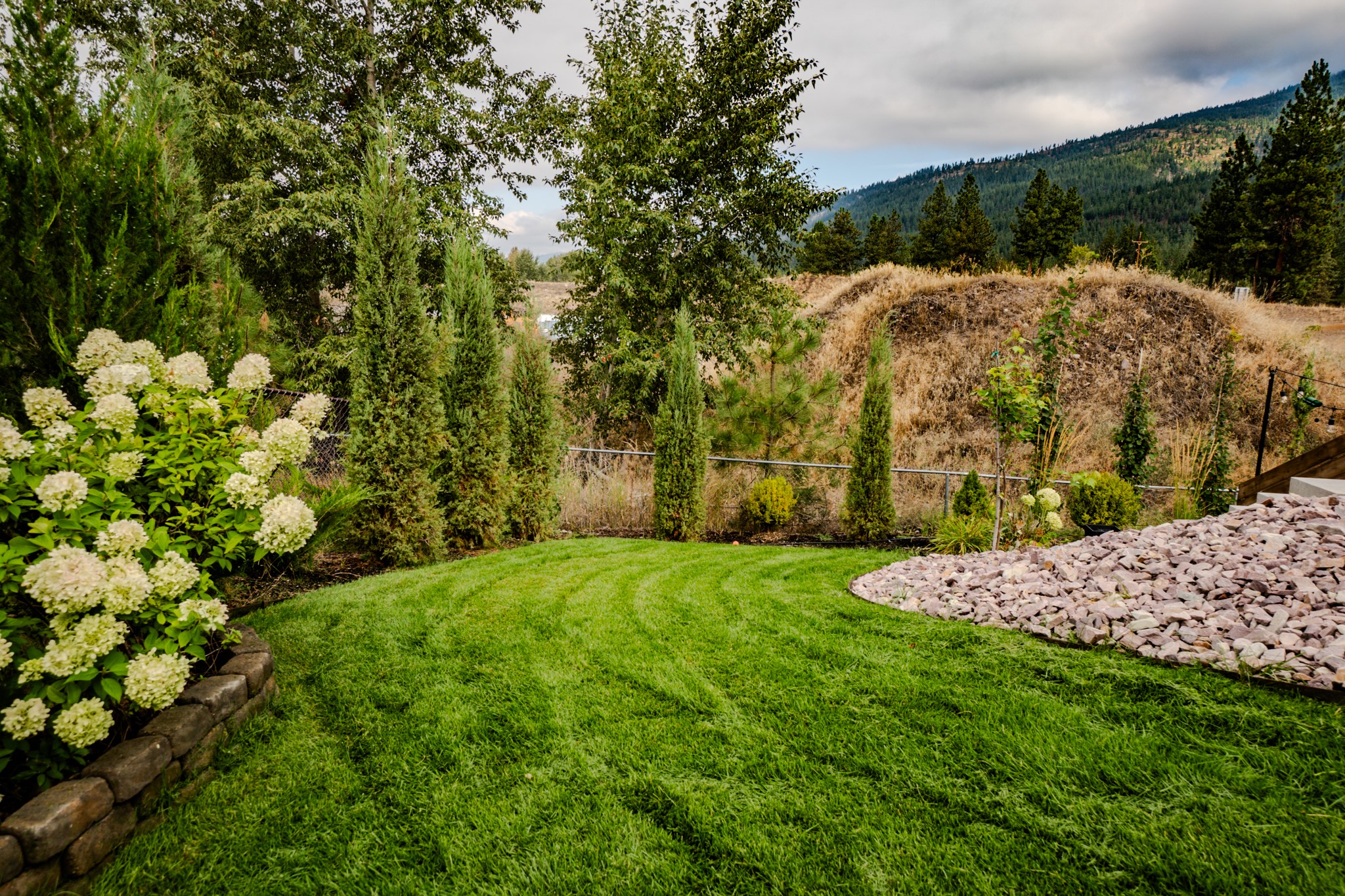 11596 Ninebark Way Property Photo 19