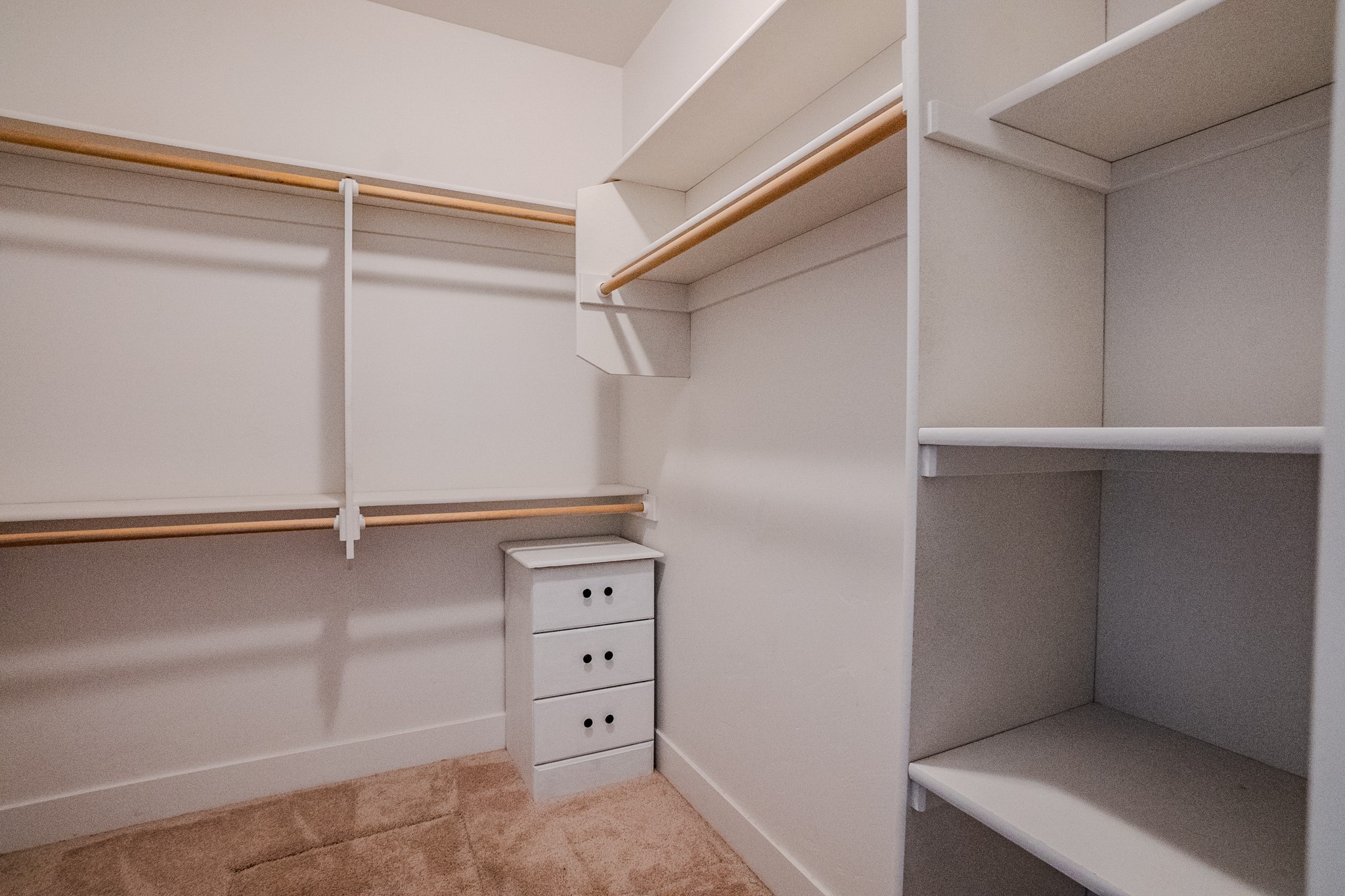 11596 Ninebark Way Property Photo 51