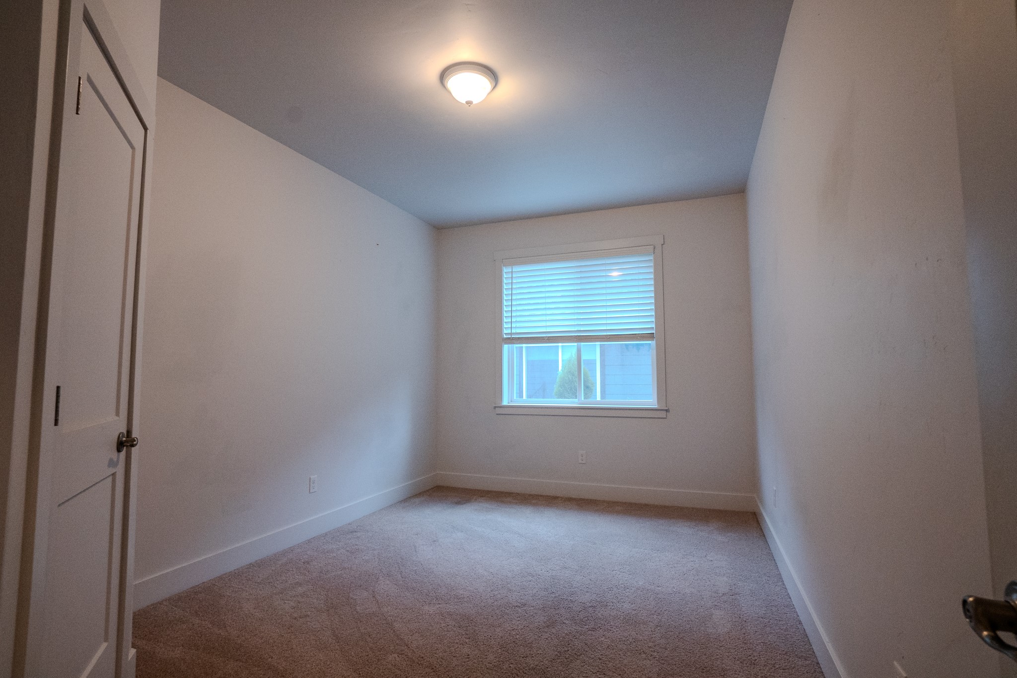 11596 Ninebark Way Property Photo 52