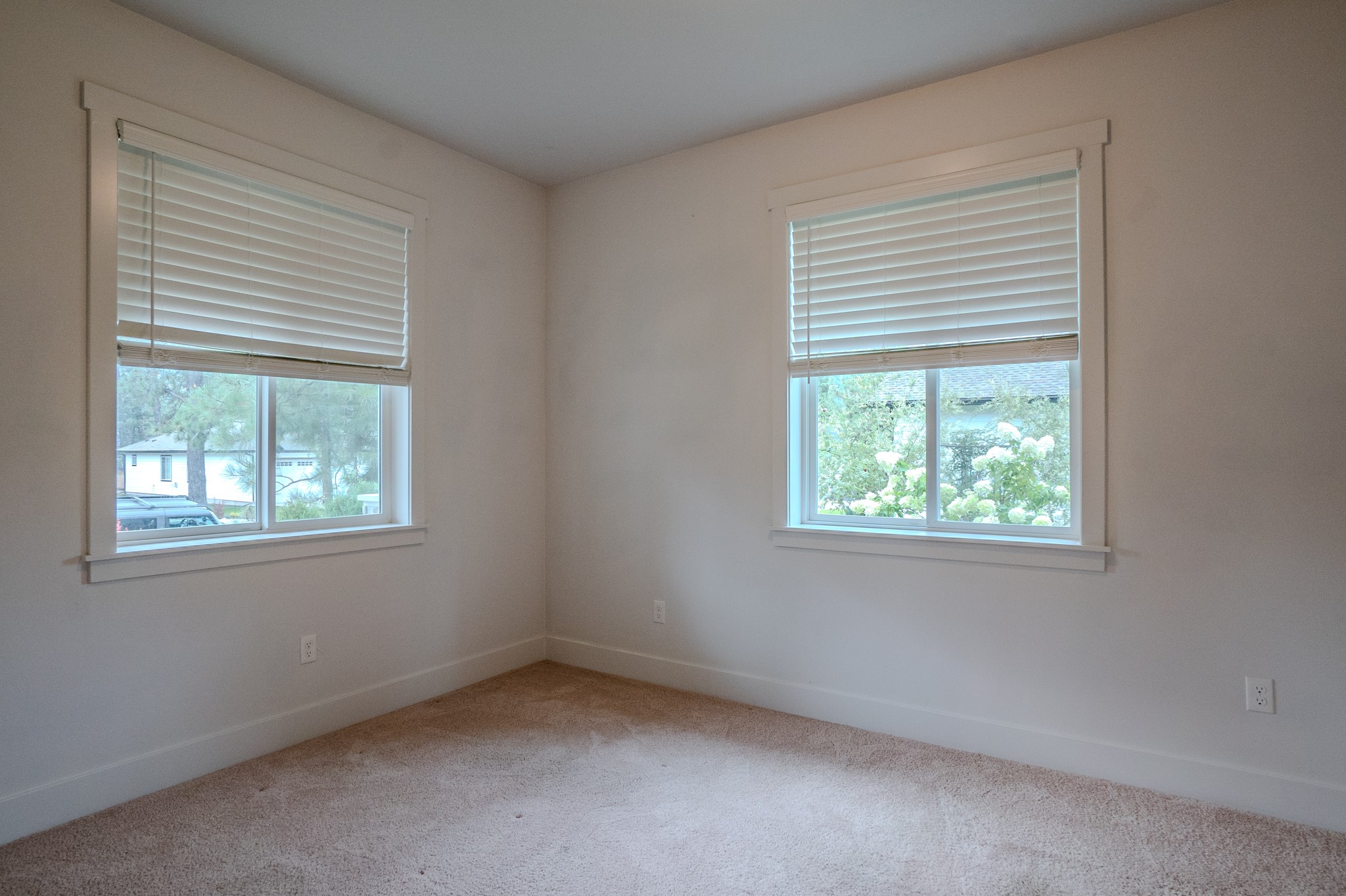 11596 Ninebark Way Property Photo 62