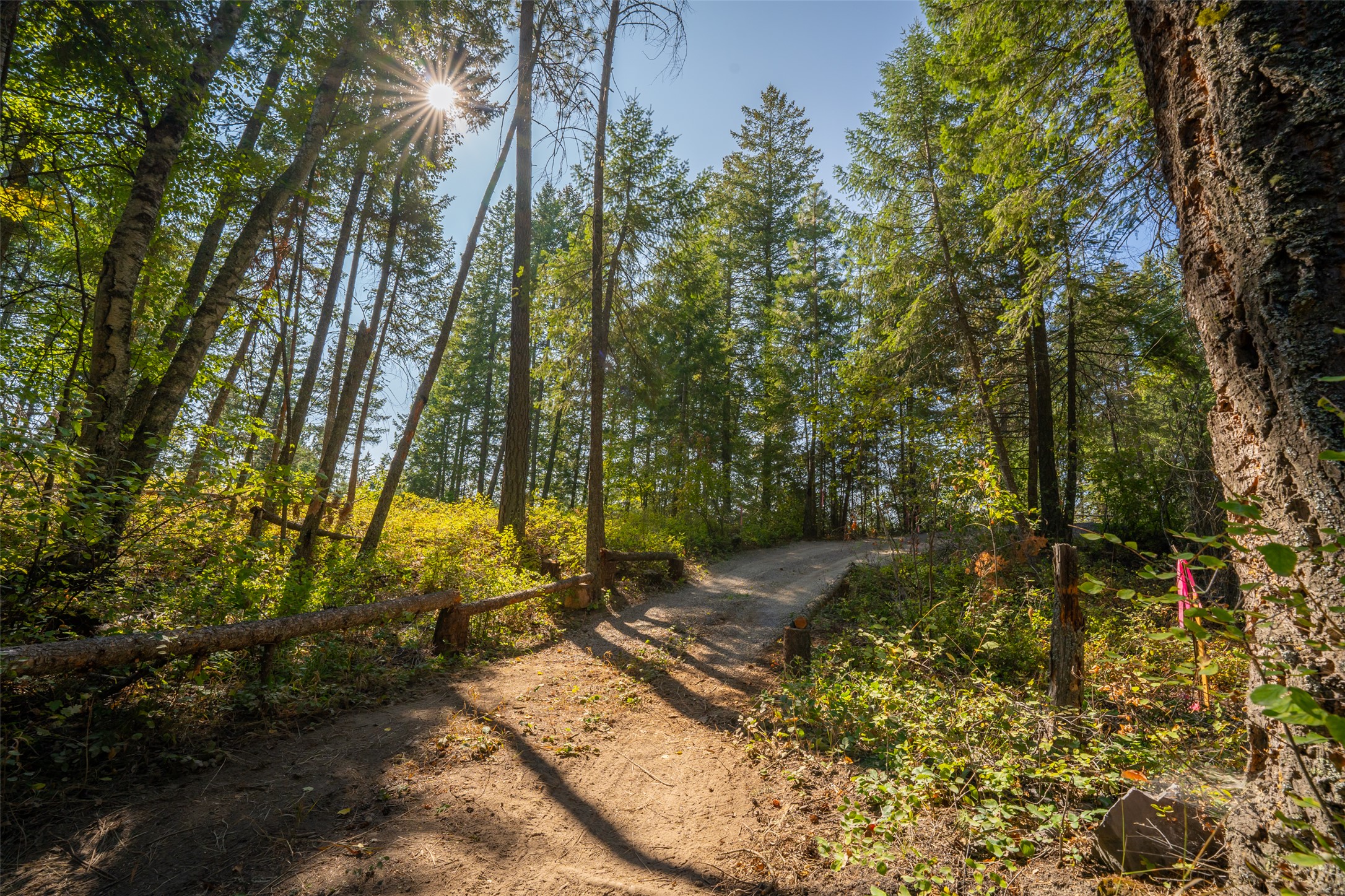 150 Peters Creek Way Property Photo 1