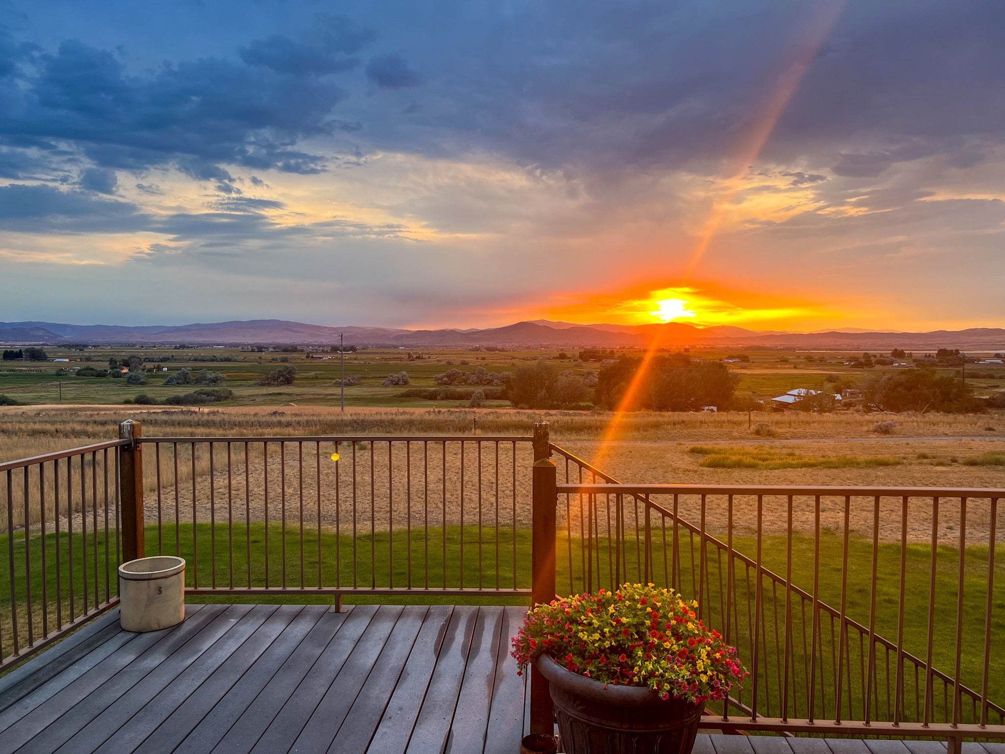 4428 Fox View Loop Property Photo 138