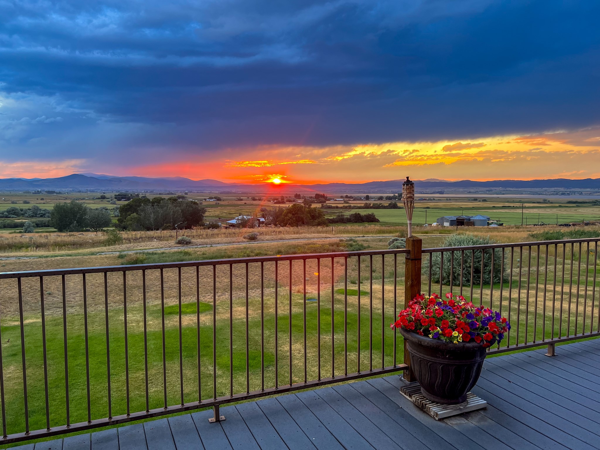 4428 Fox View Loop Property Photo 139