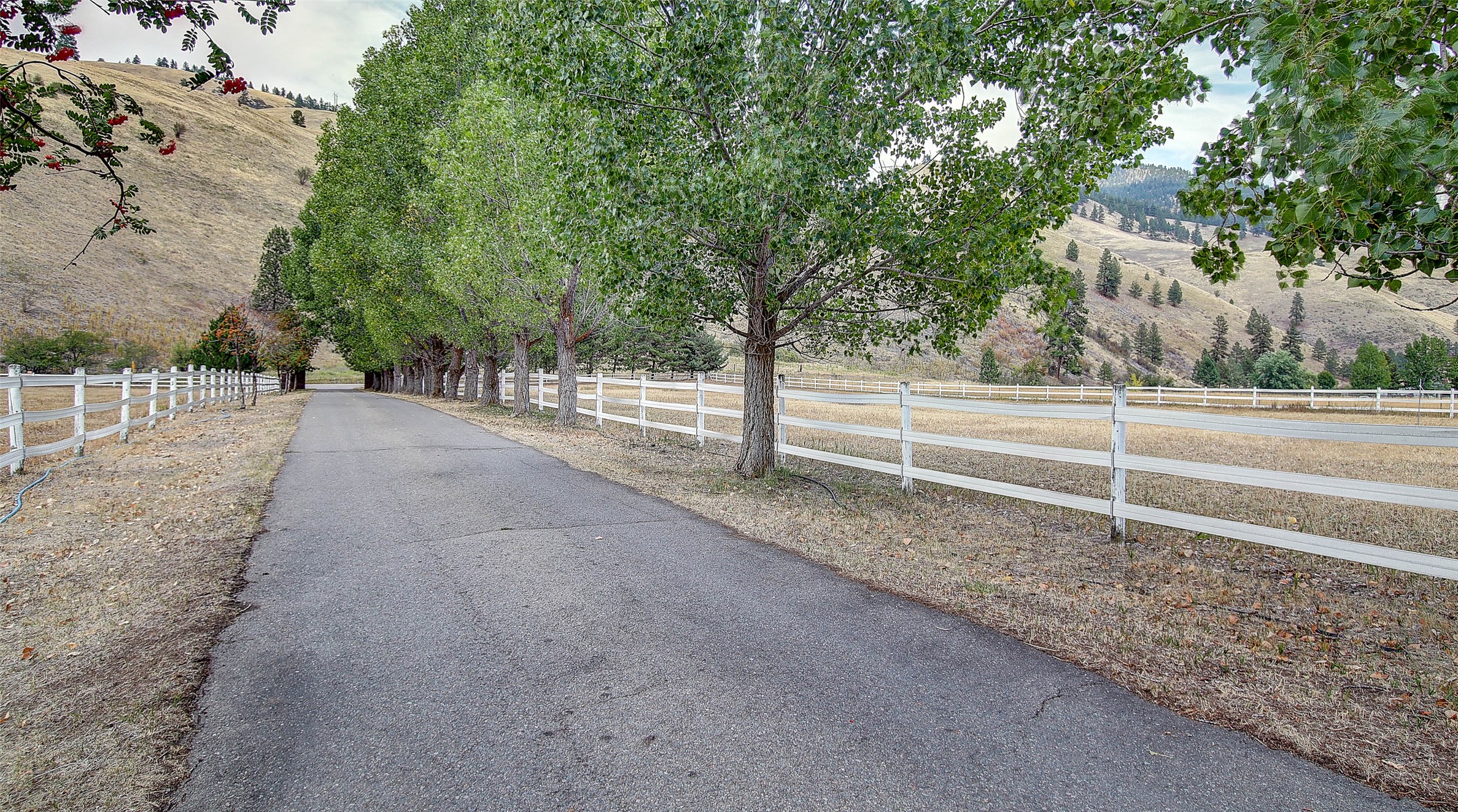 9859 Miller Creek Road Property Photo 57