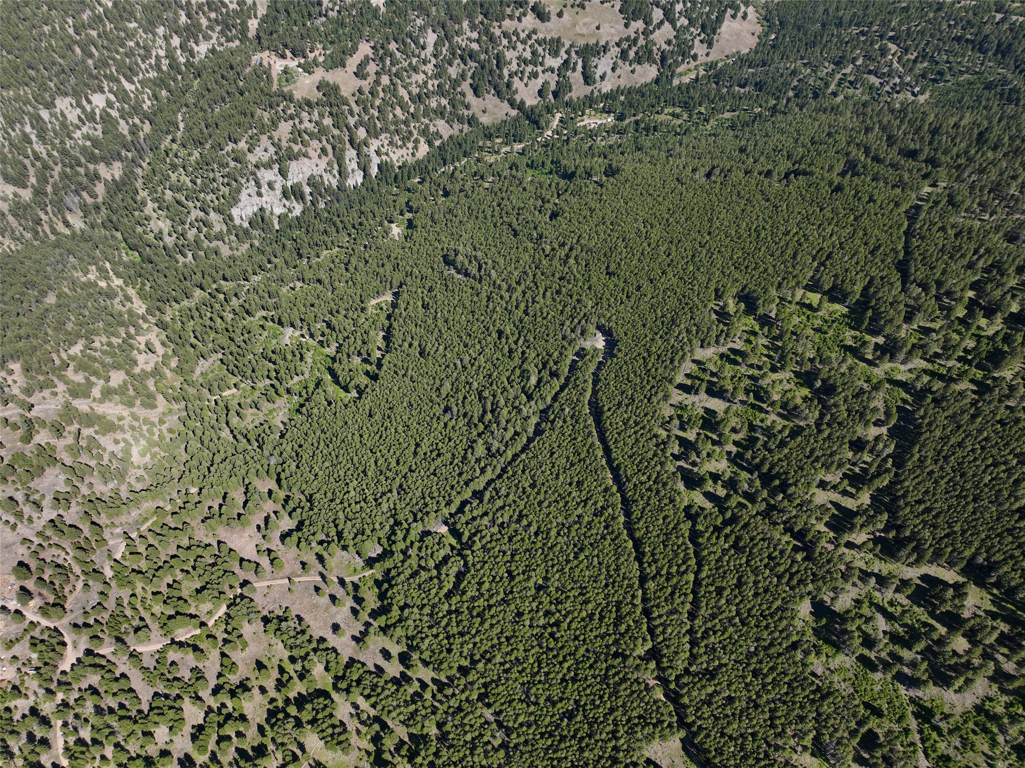Tbd A&b Chimney Lakes Road Property Photo 3