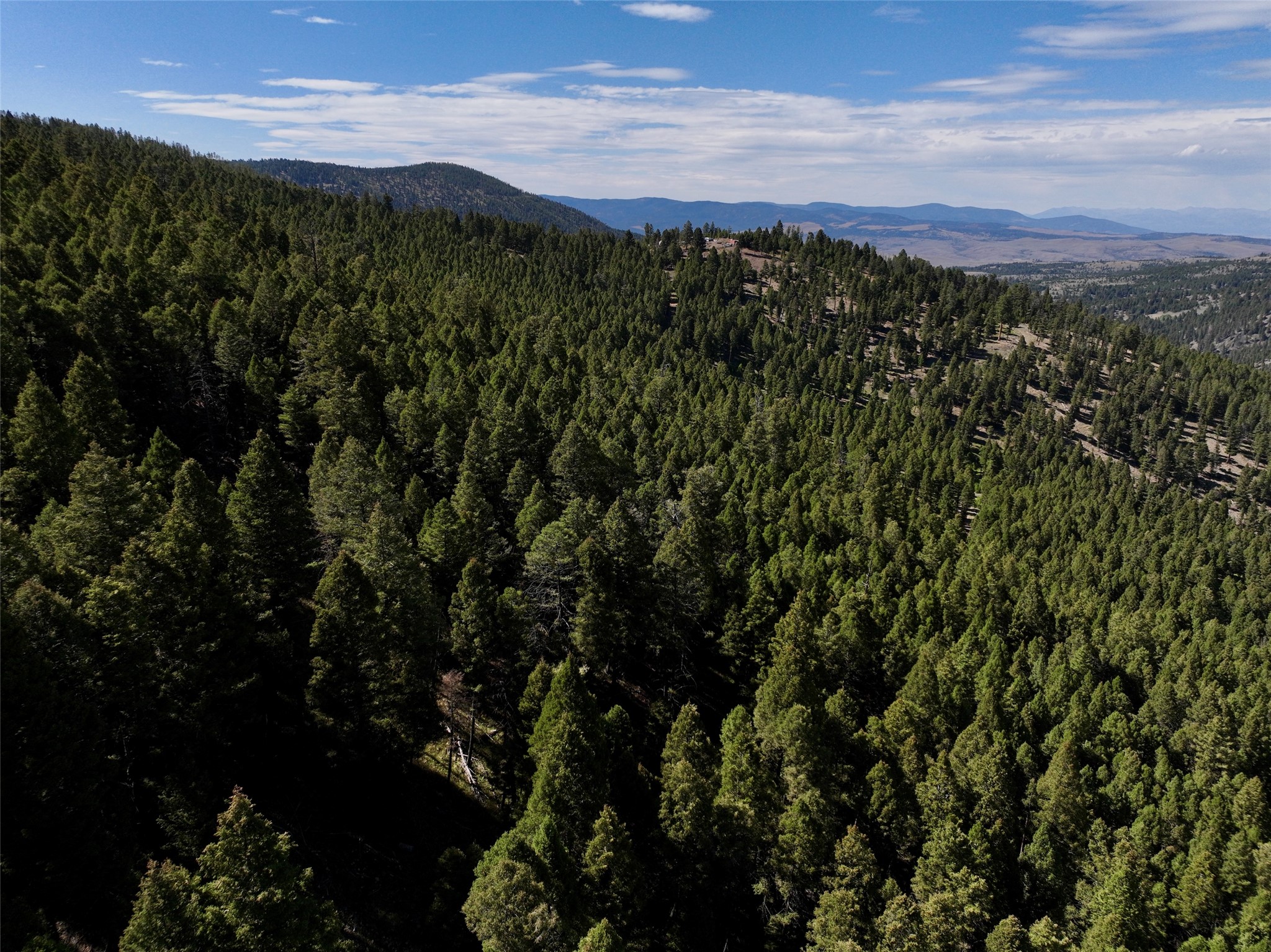 Tbd A&b Chimney Lakes Road Property Photo 8