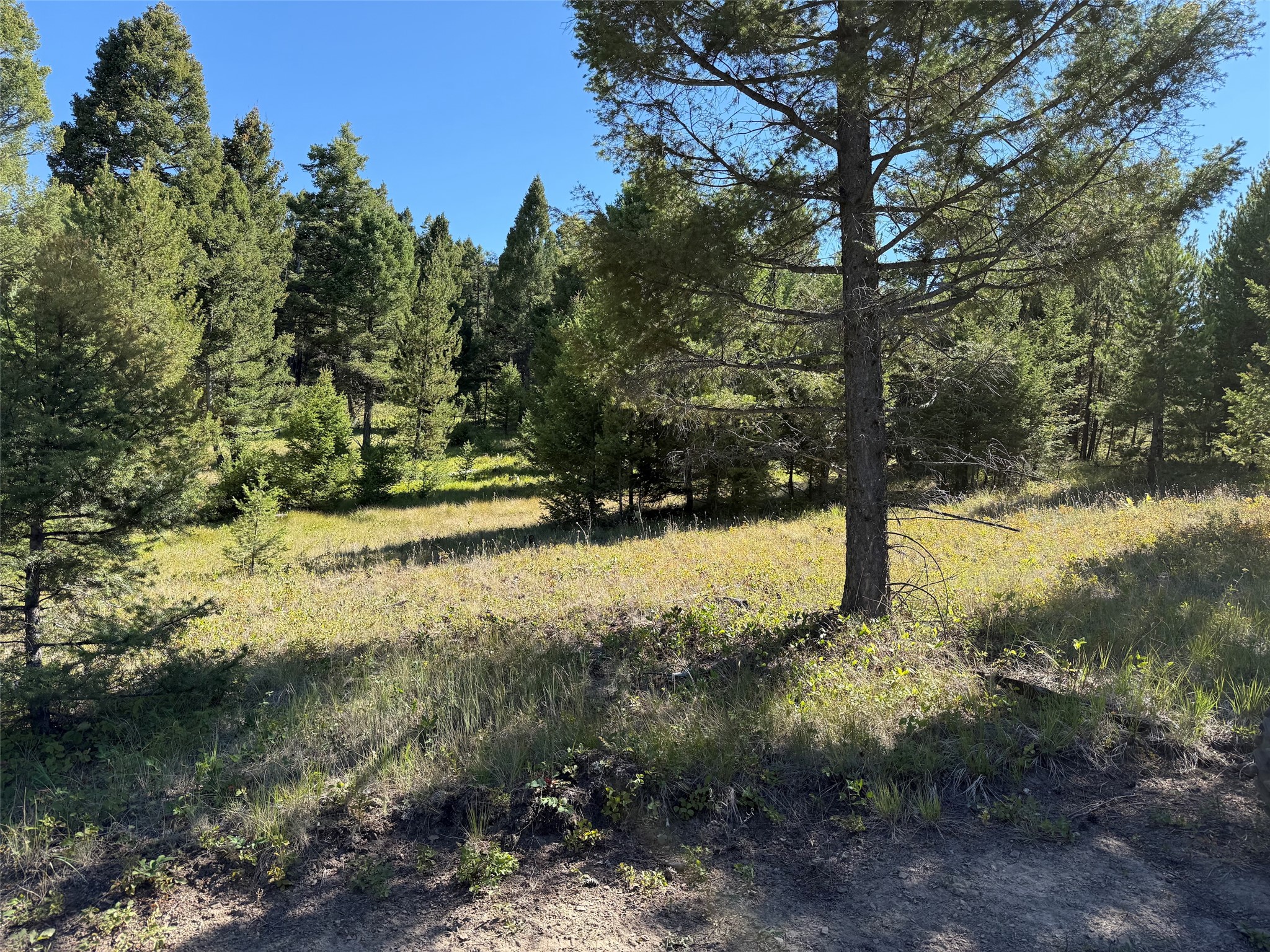 Tbd A&b Chimney Lakes Road Property Photo 10