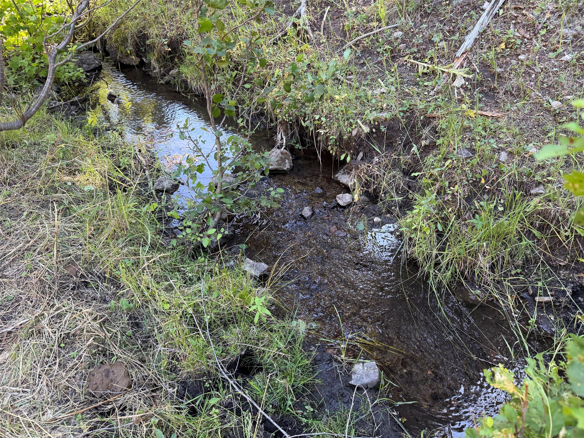 Tbd A&b Chimney Lakes Road Property Photo 17