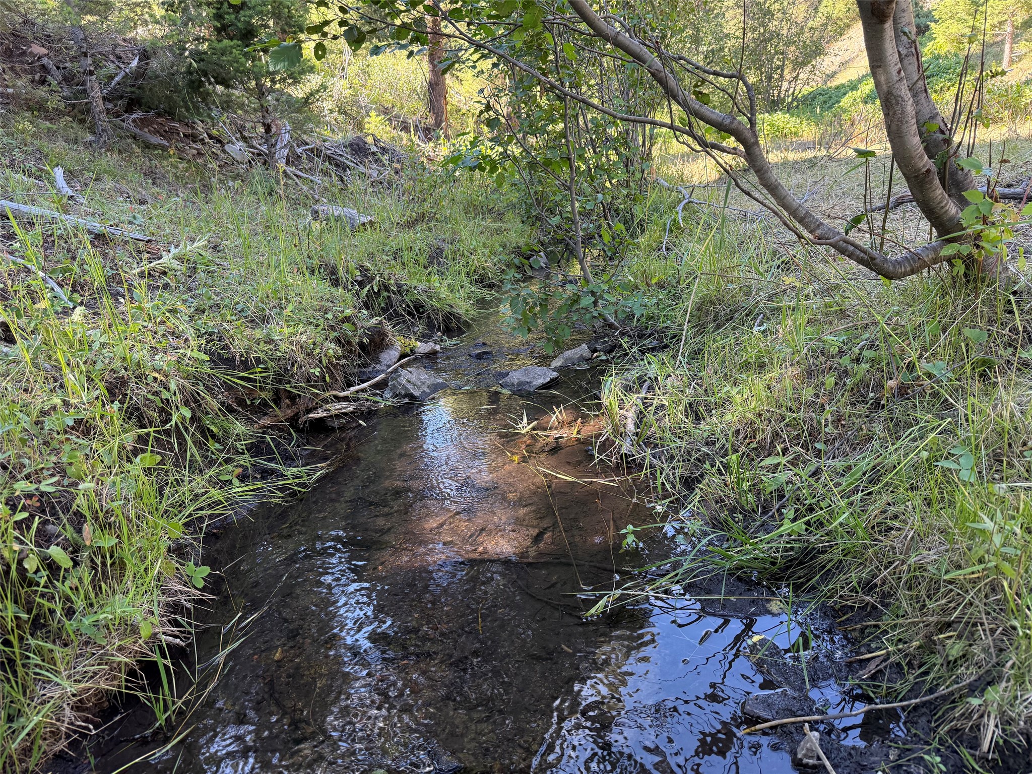 Tbd A&b Chimney Lakes Road Property Photo 18