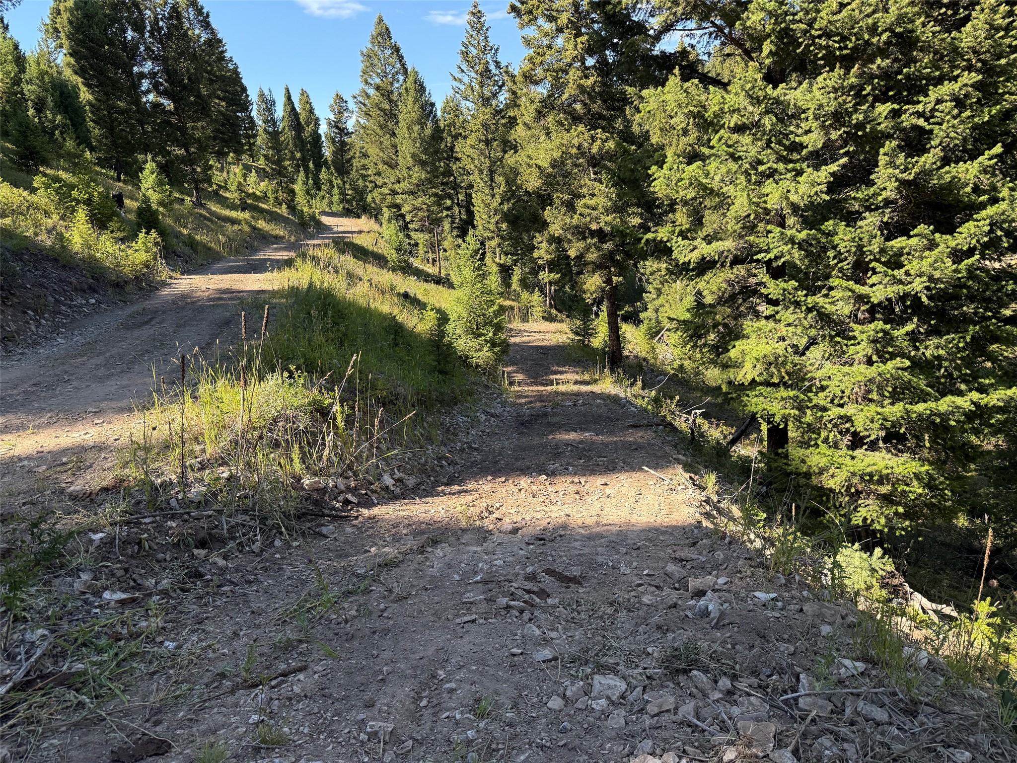 Tbd A&b Chimney Lakes Road Property Photo 19