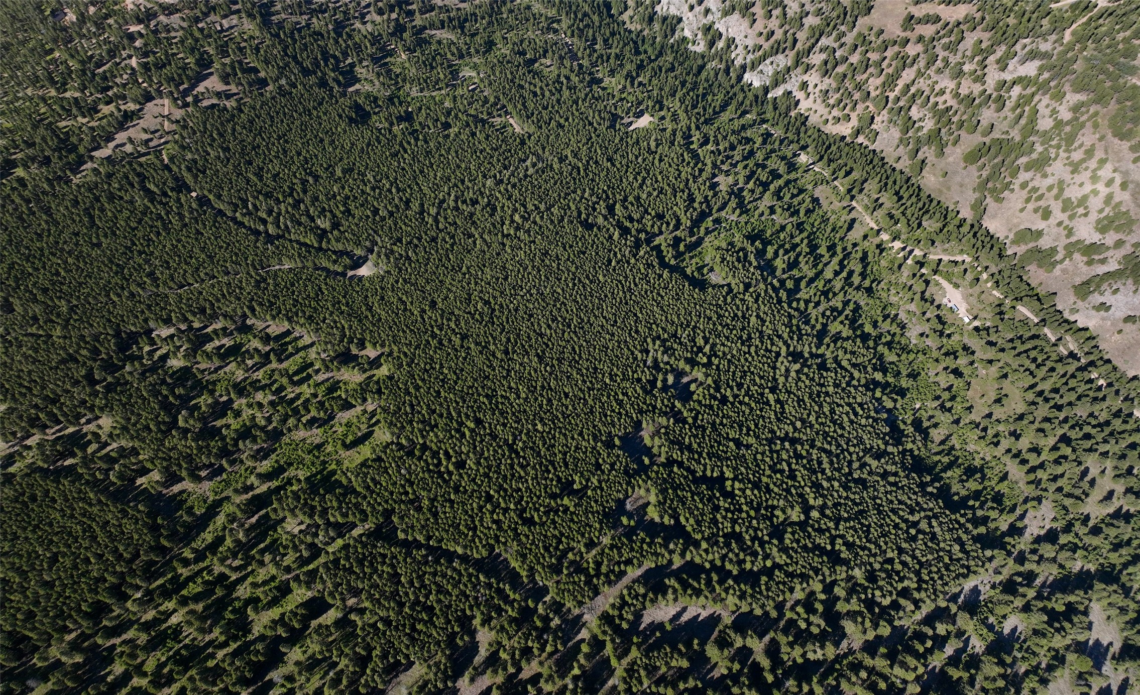Tbd B Chimney Lakes Road Property Photo 11