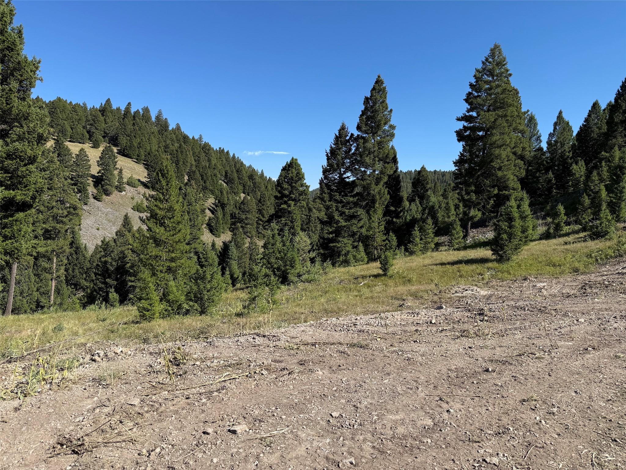 Tbd B Chimney Lakes Road Property Photo 13
