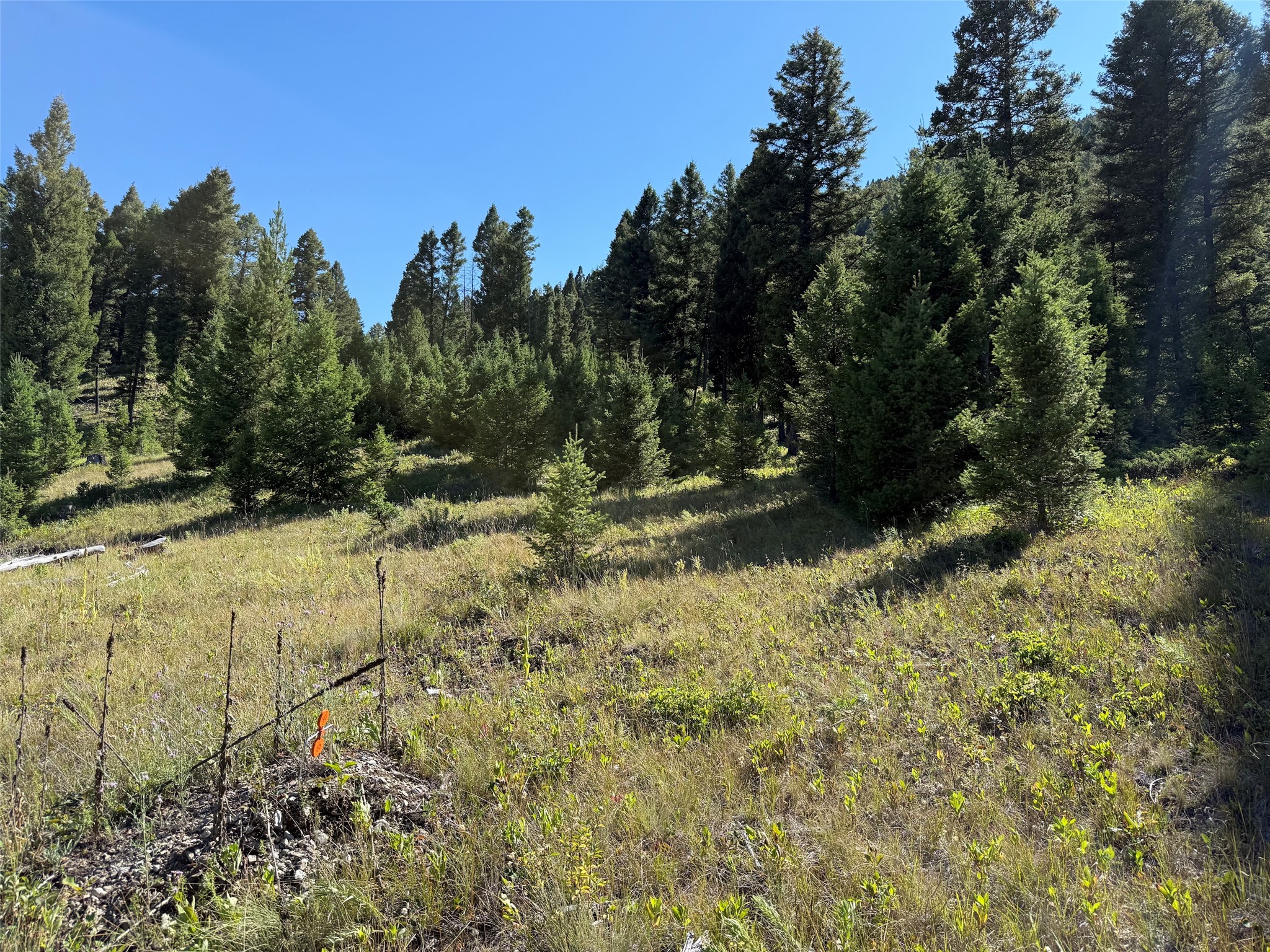 Tbd B Chimney Lakes Road Property Photo 15