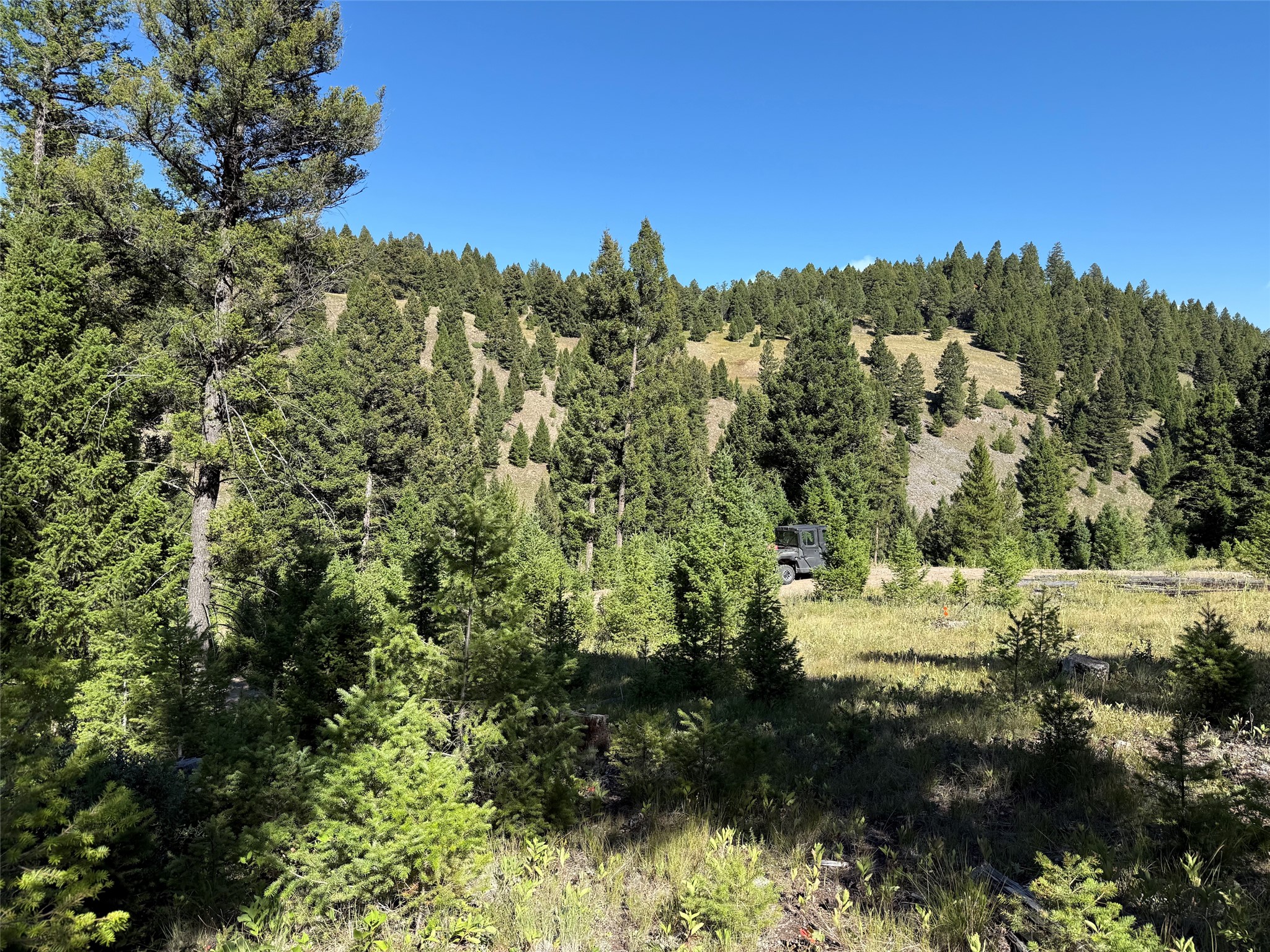 Tbd B Chimney Lakes Road Property Photo 16