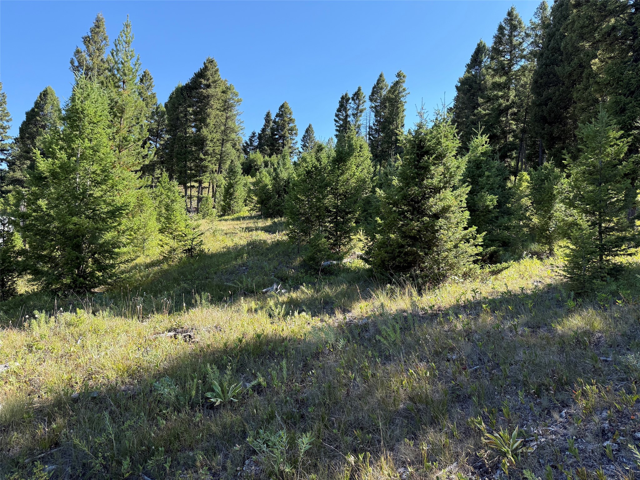 Tbd B Chimney Lakes Road Property Photo 18