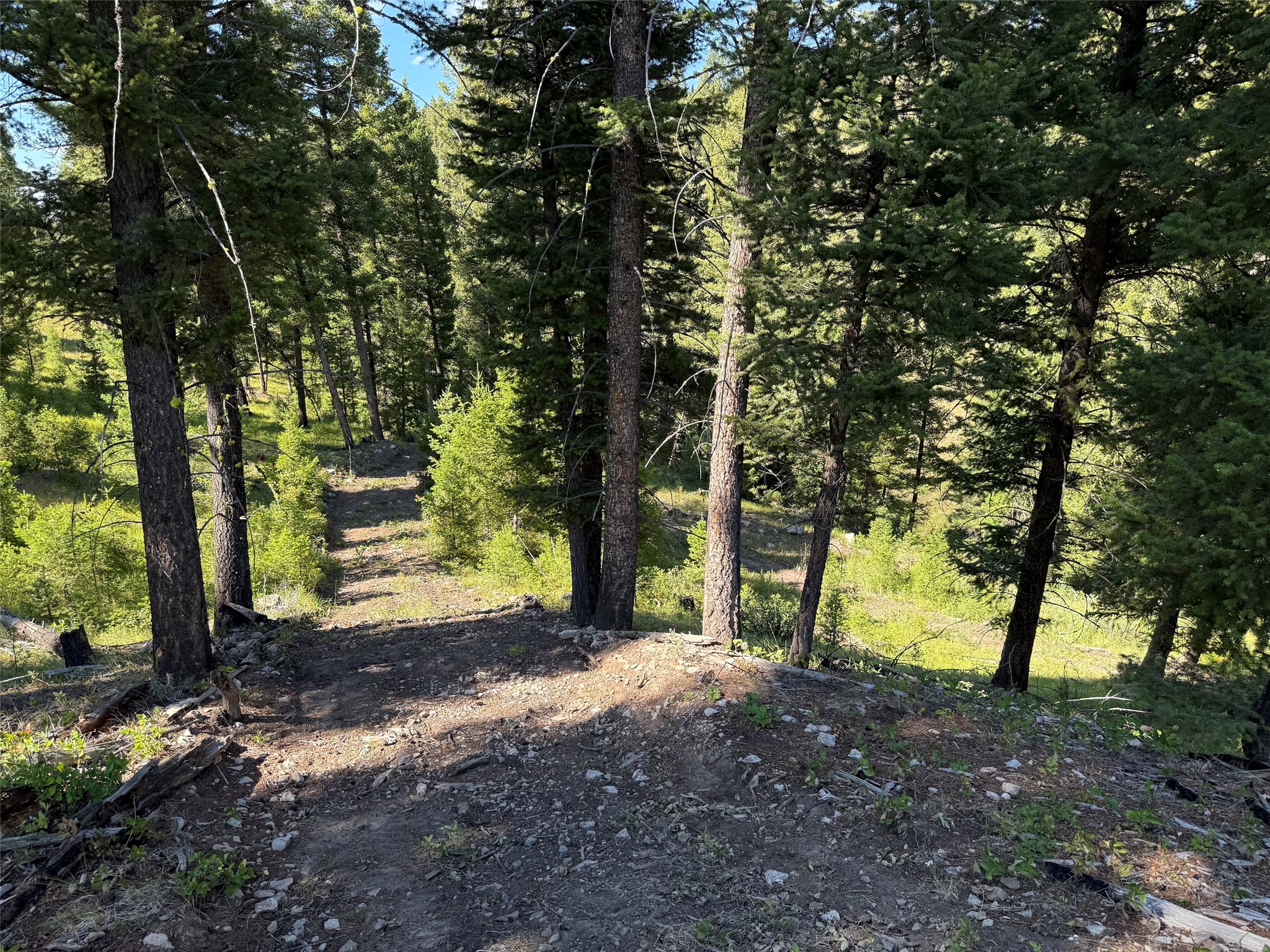 Tbd B Chimney Lakes Road Property Photo 22
