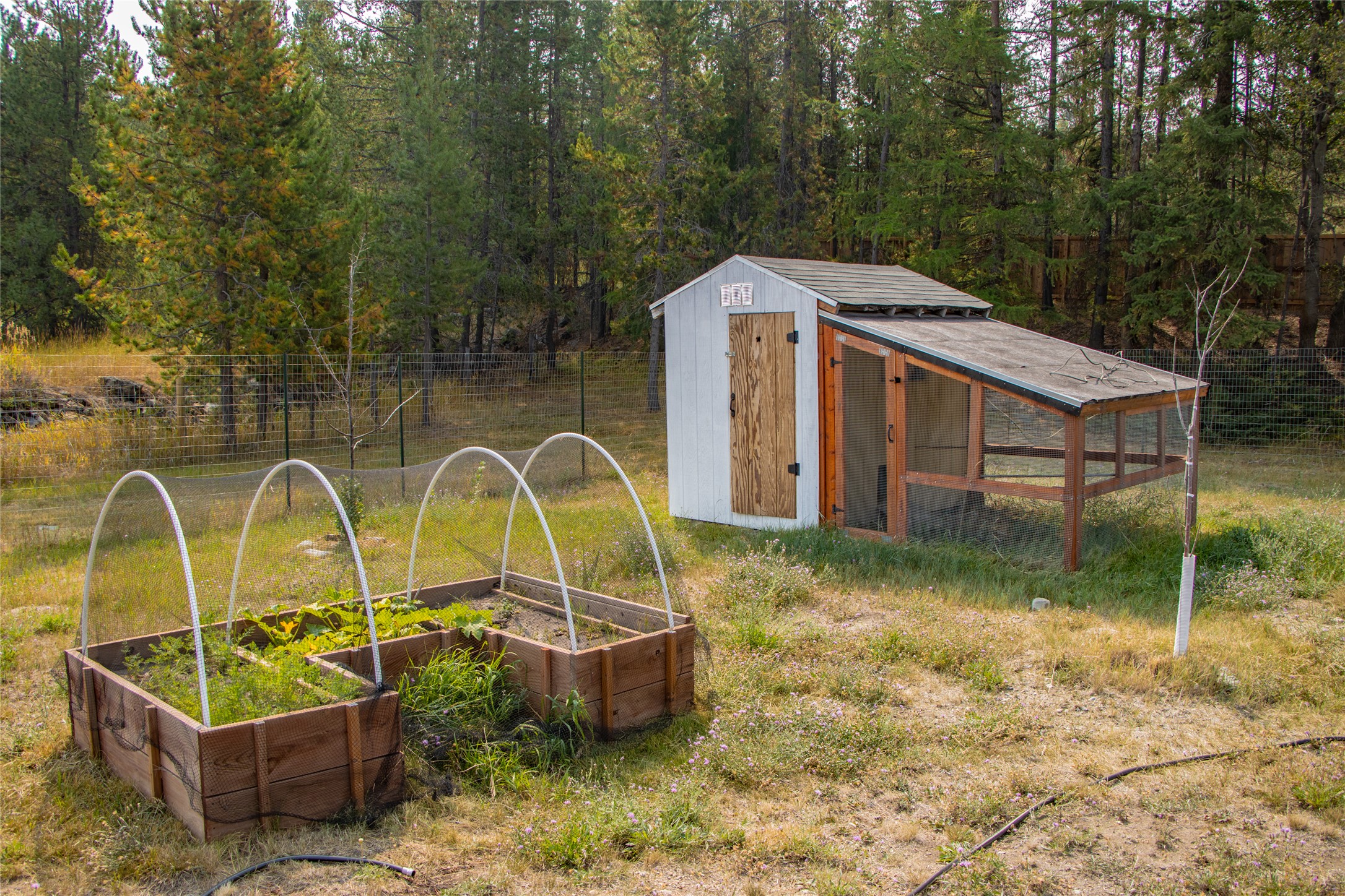 317 Pleasant Valley Road Property Photo 17