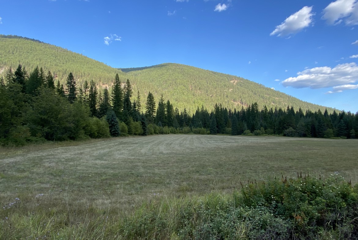 2398 Pine Creek Road Property Photo 3