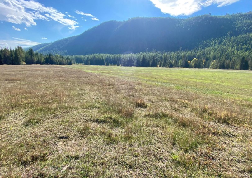 2398 Pine Creek Road Property Photo 35
