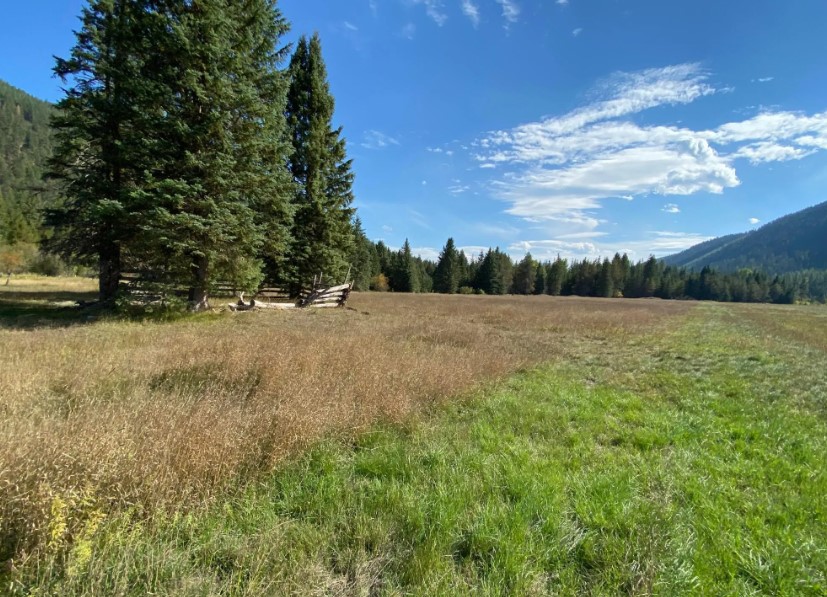2398 Pine Creek Road Property Photo 37