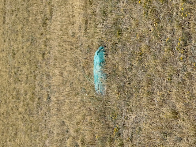 Nhn Canal Road Property Photo 11