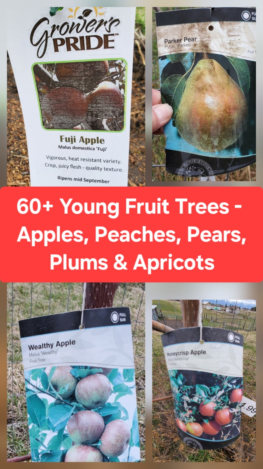 2855 Airport Road Property Photo 81