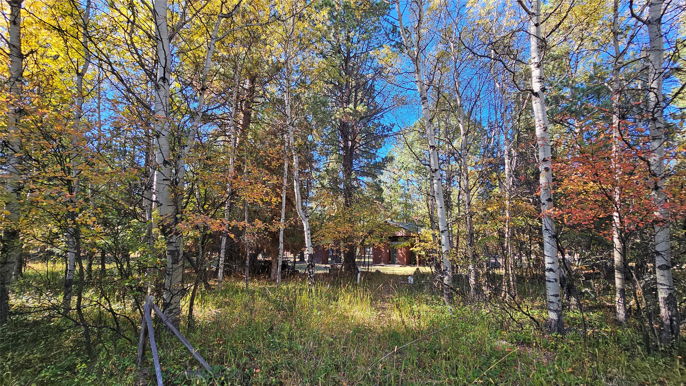 4447 Snow Fleury Lane Property Photo 7
