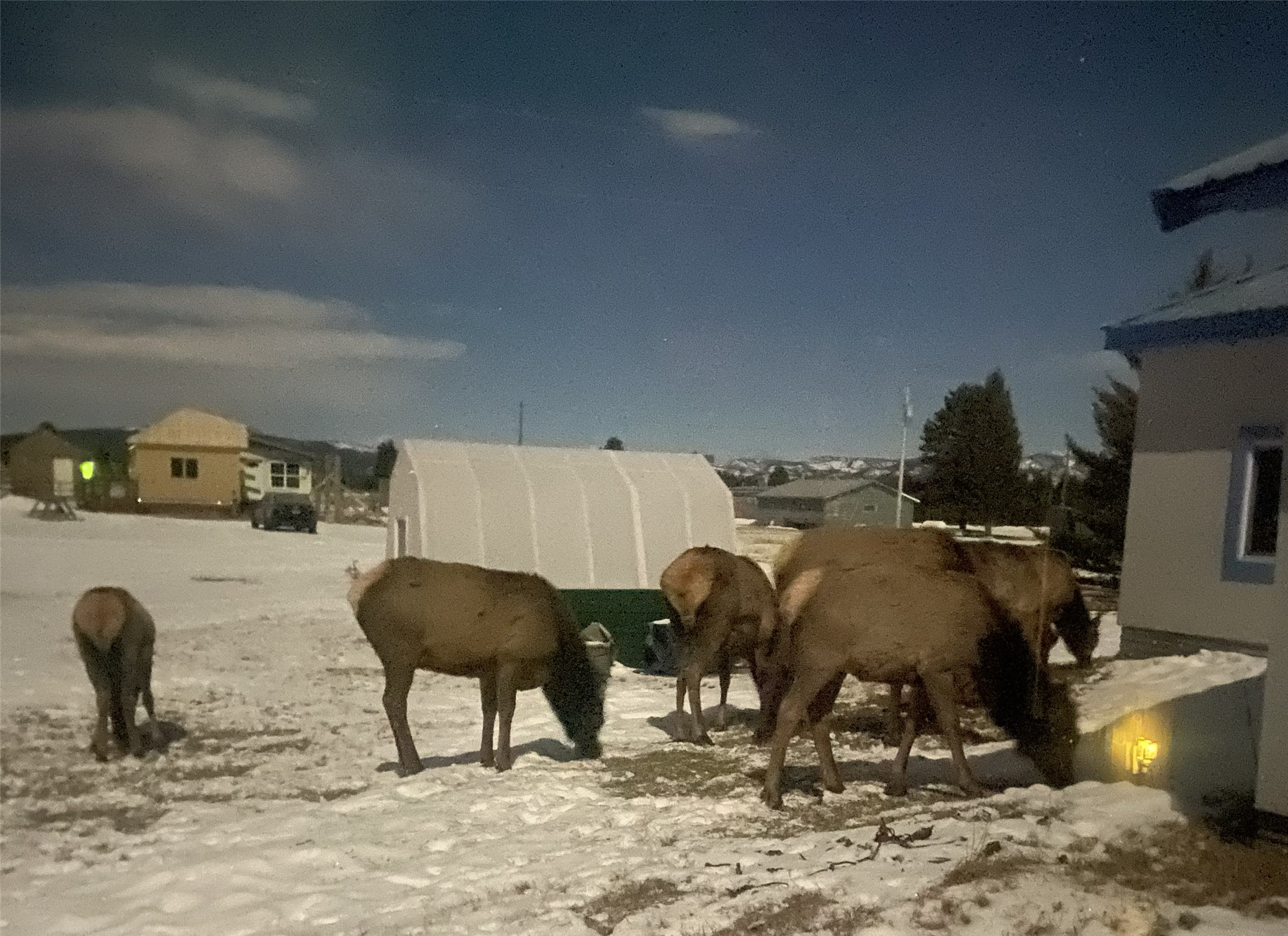 1450 Morris Drive Property Photo 1