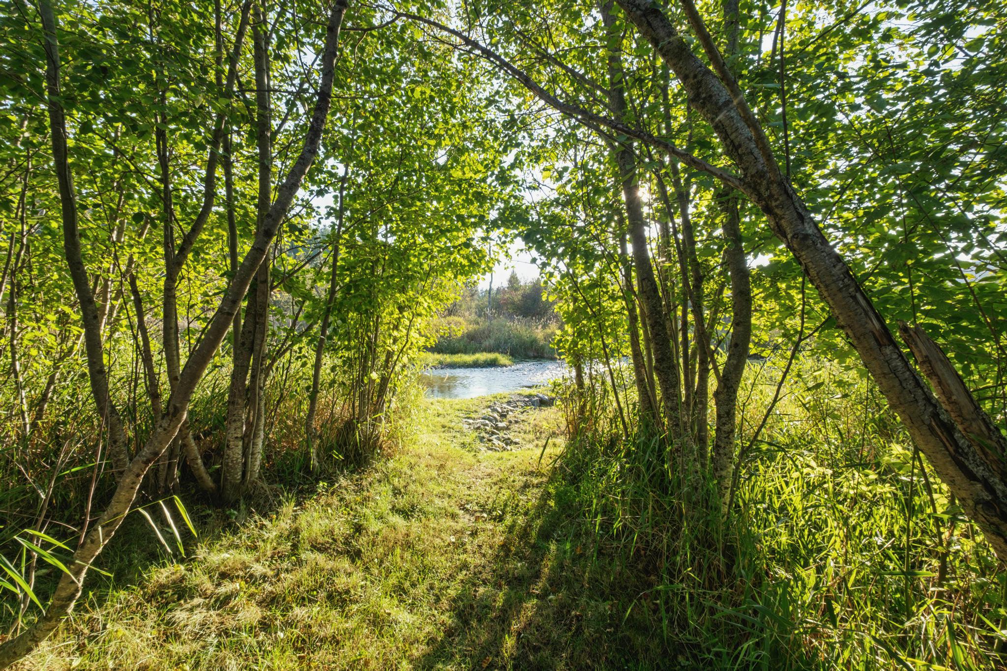 62564 Us Highway 2 Property Photo 42