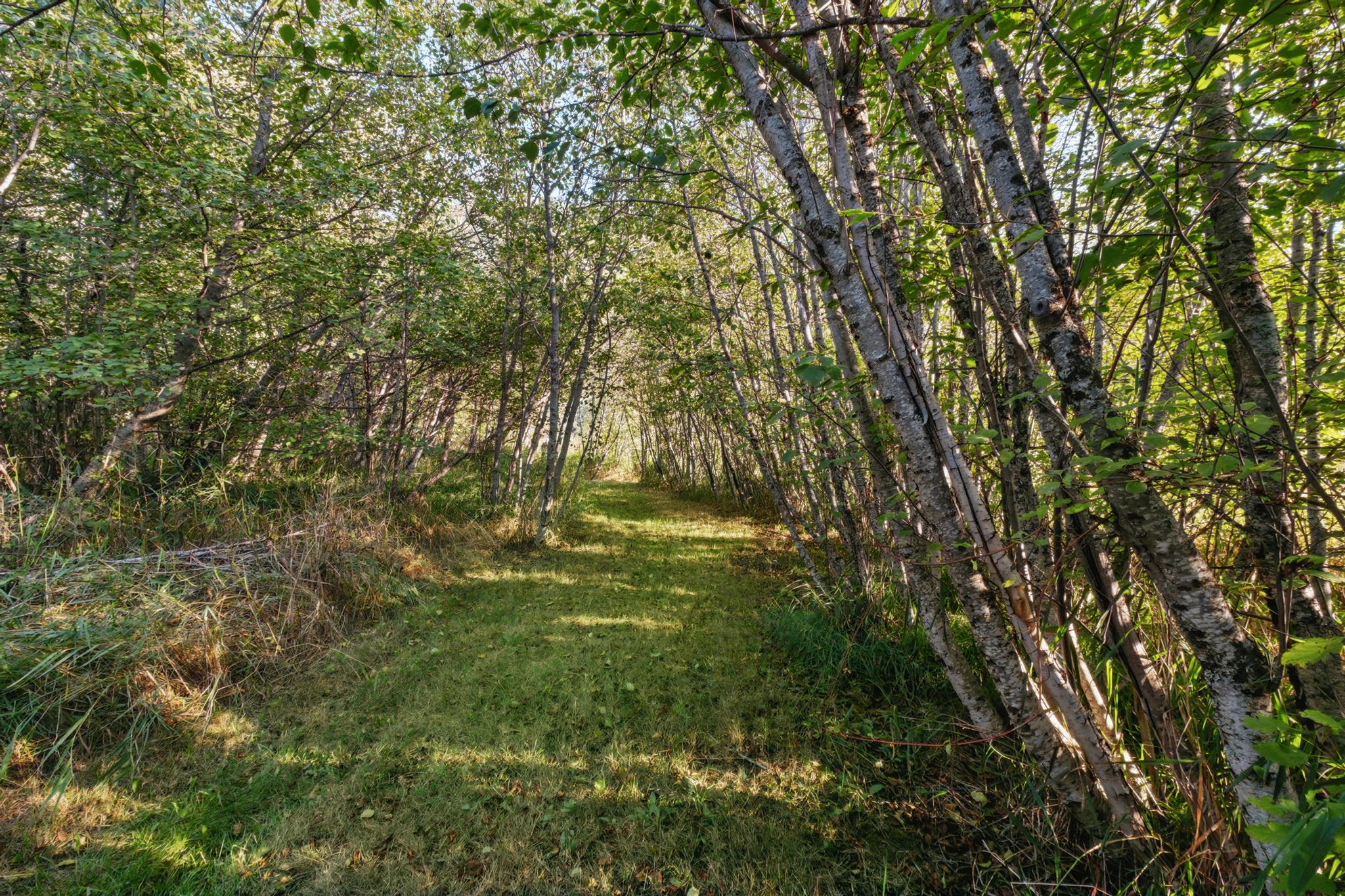 62564 Us Highway 2 Property Photo 43