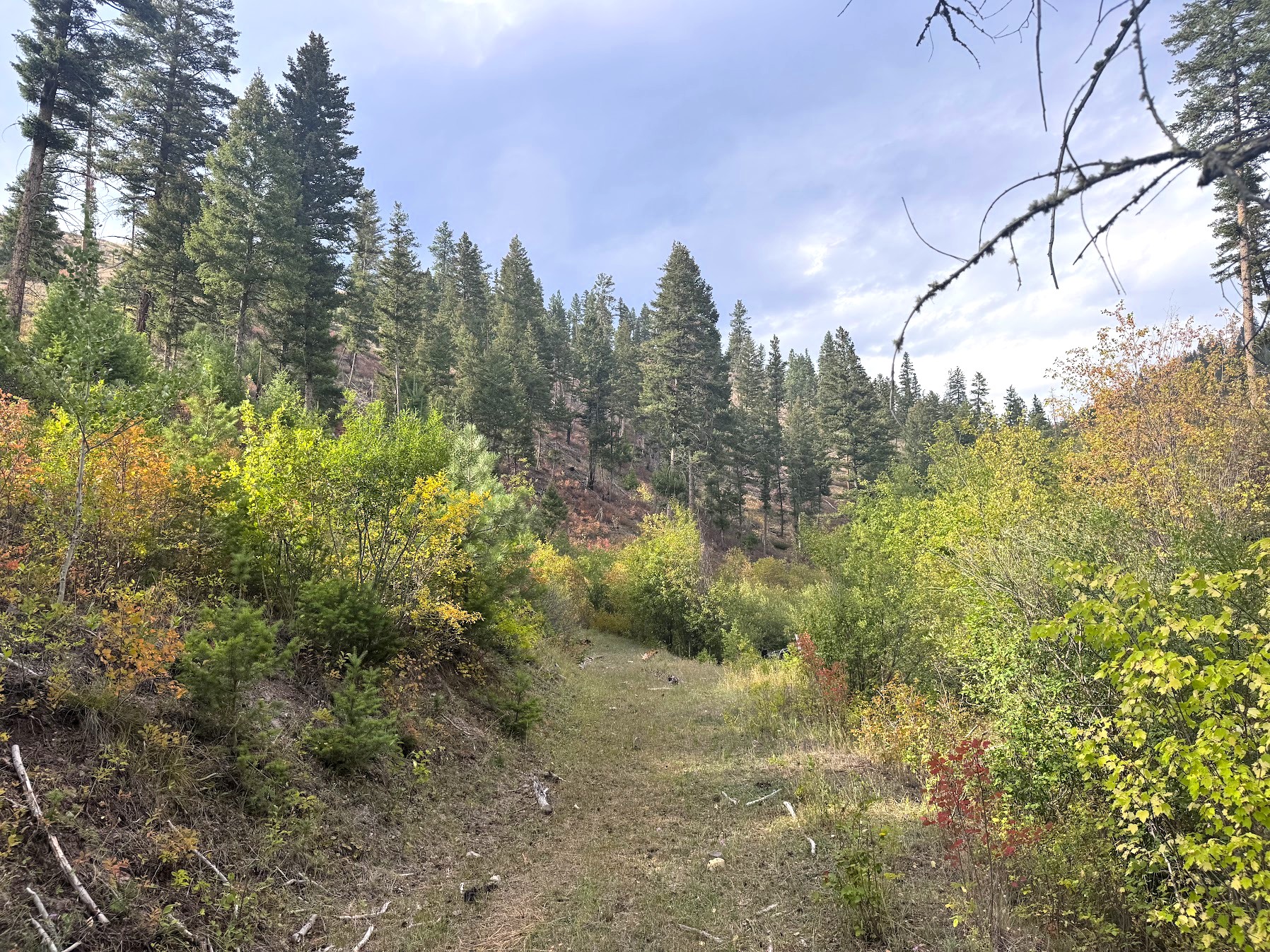 31022 Beavertail Road Property Photo 39