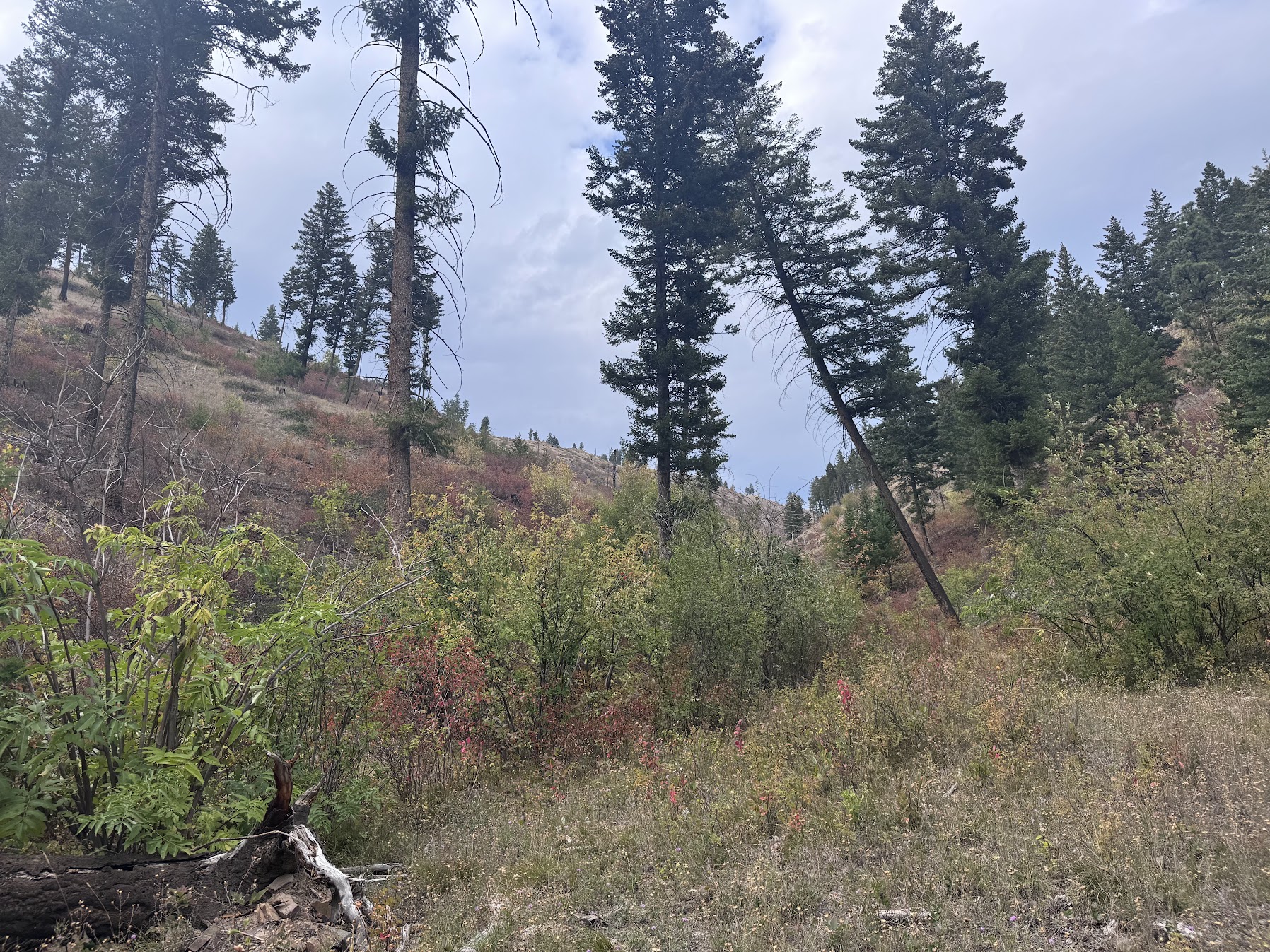 31022 Beavertail Road Property Photo 40