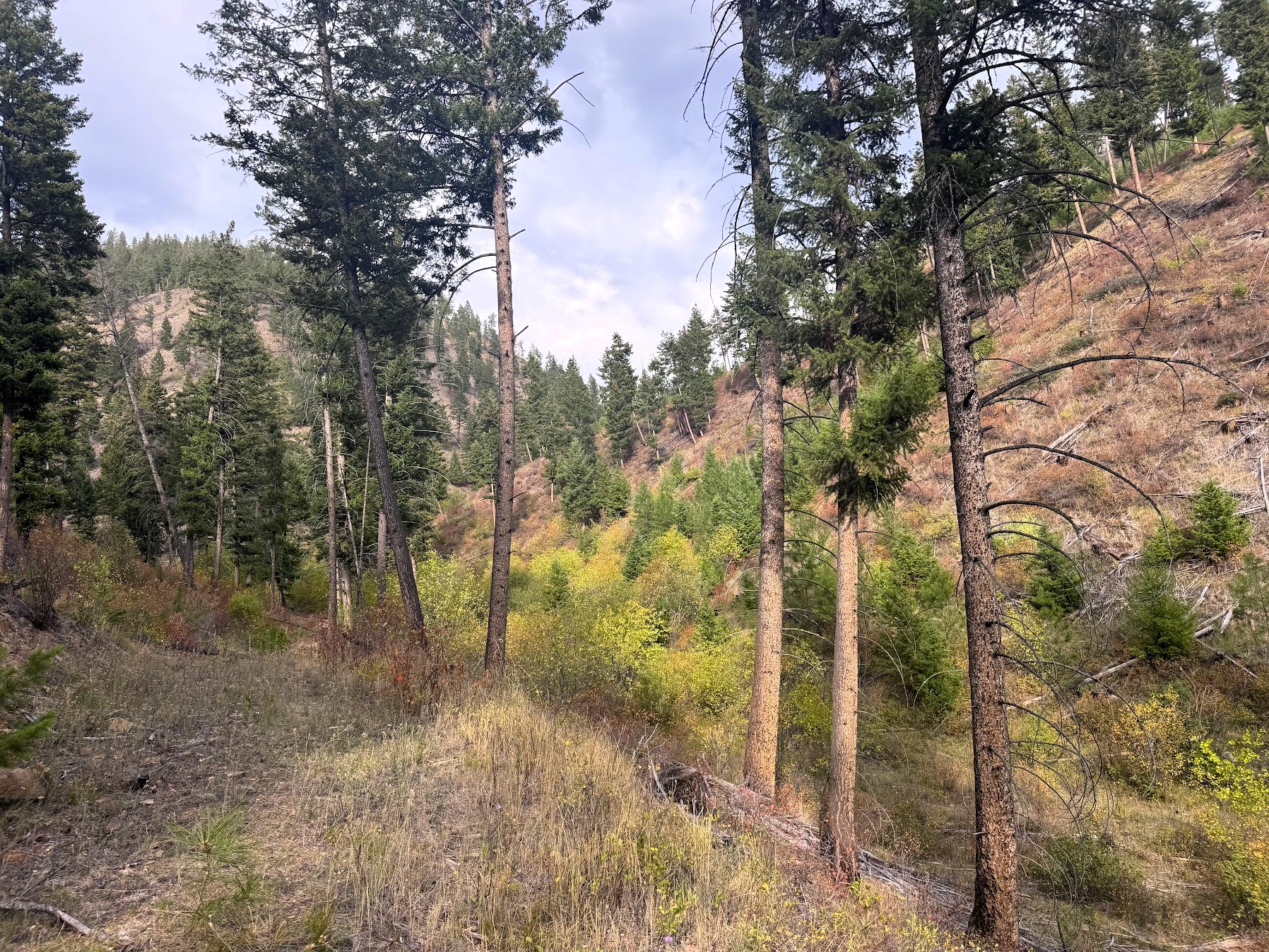 31022 Beavertail Road Property Photo 41