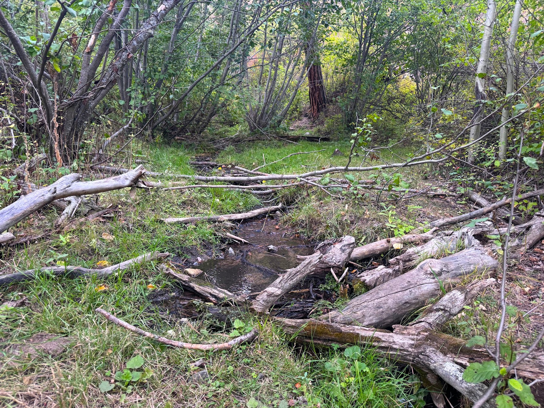31022 Beavertail Road Property Photo 42