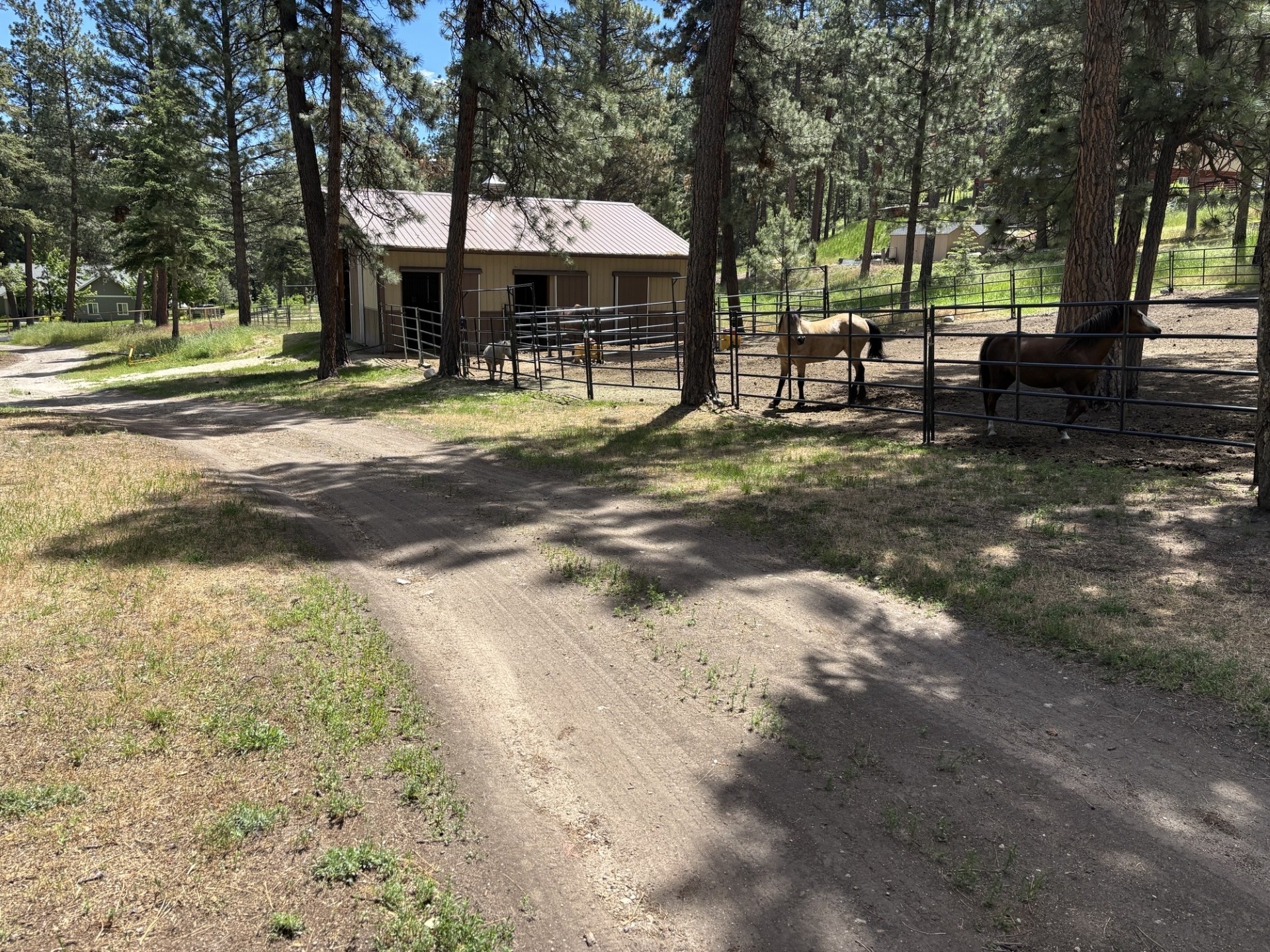 847 Sheafman Creek Road Property Photo 13