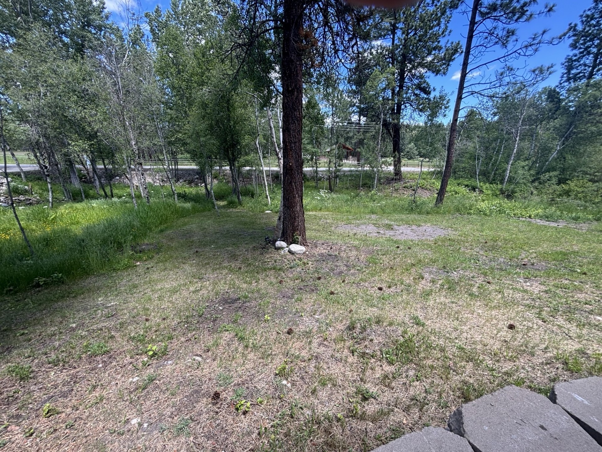 847 Sheafman Creek Road Property Photo 14