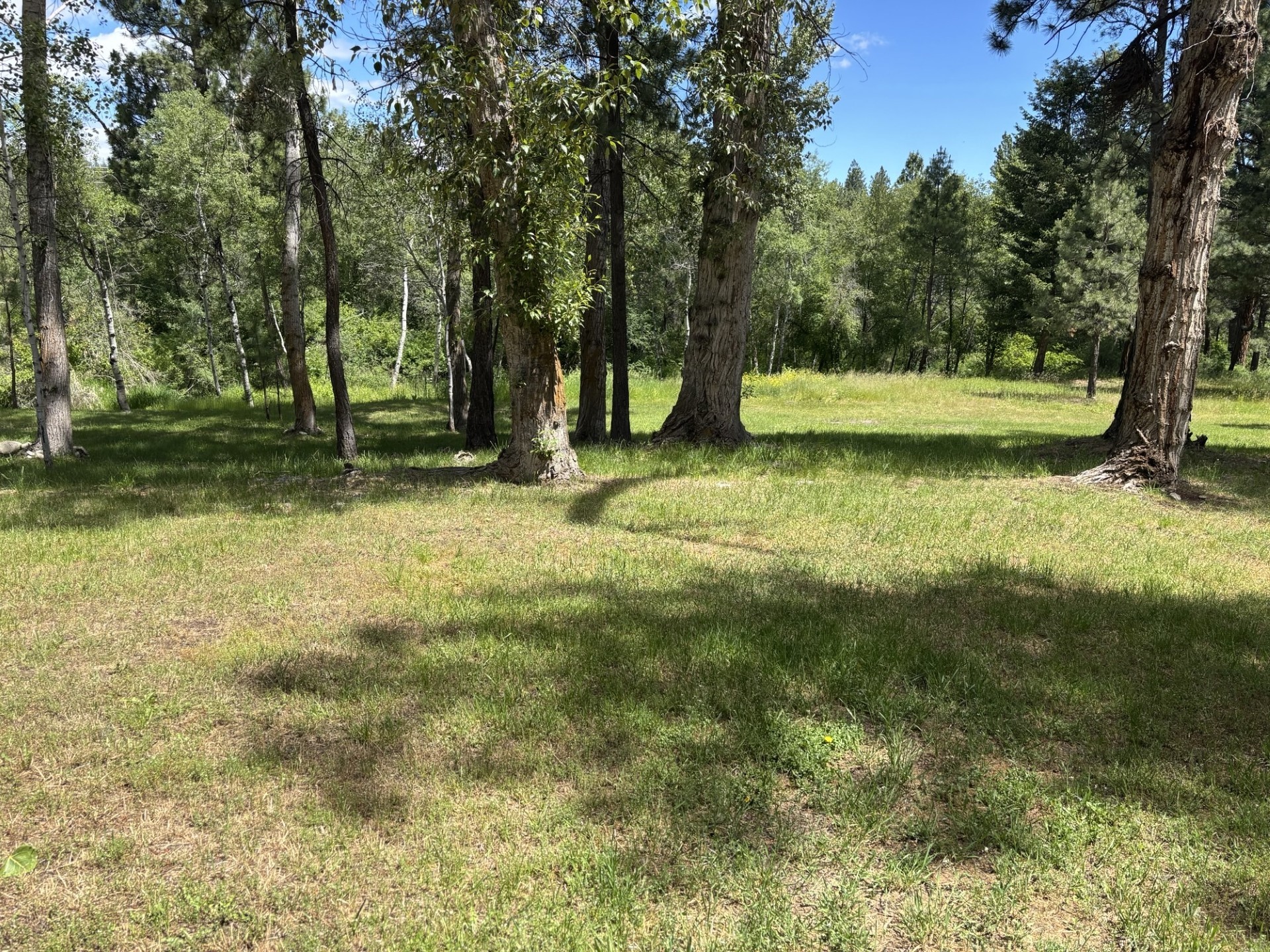 847 Sheafman Creek Road Property Photo 15