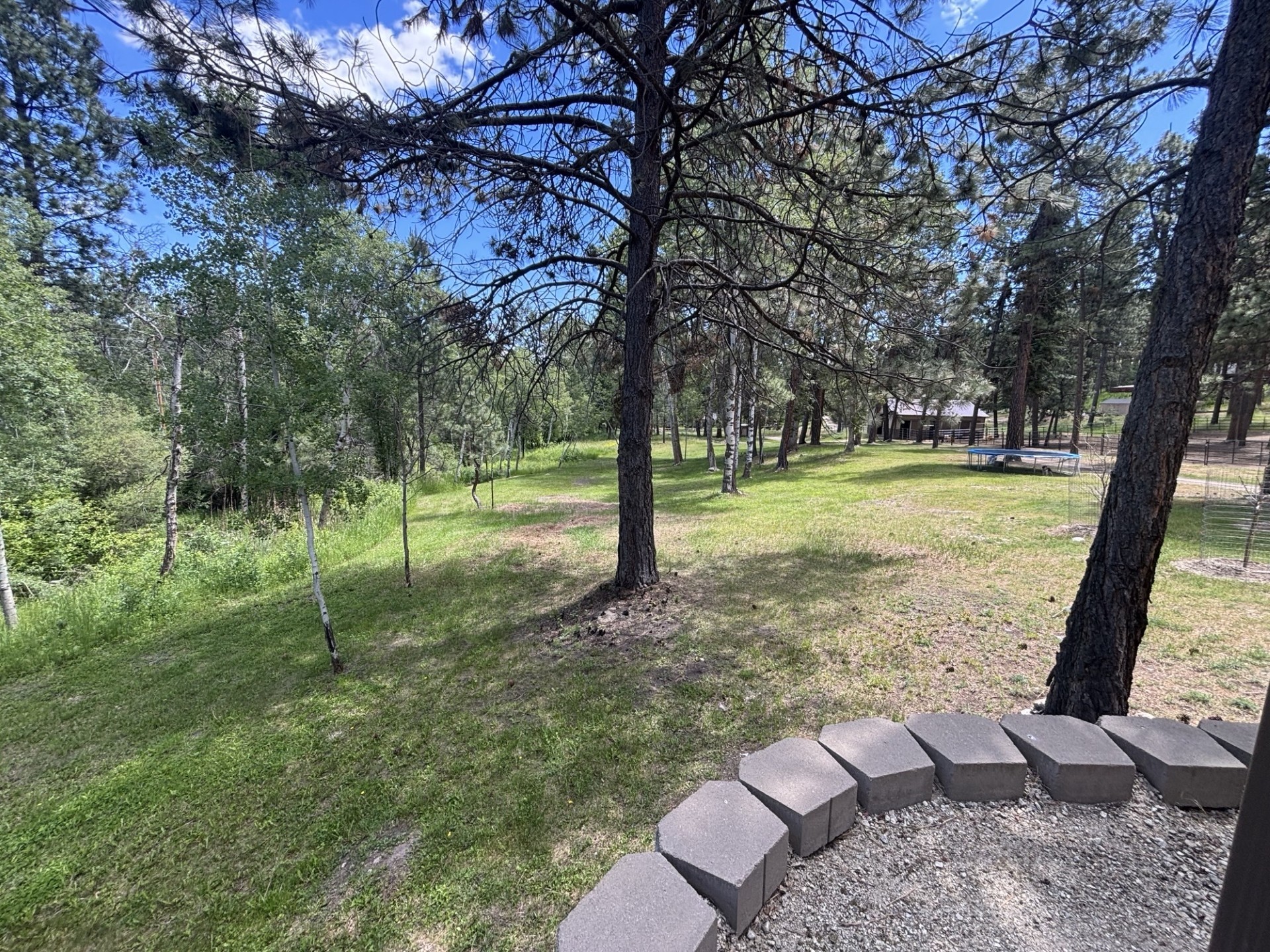 847 Sheafman Creek Road Property Photo 16