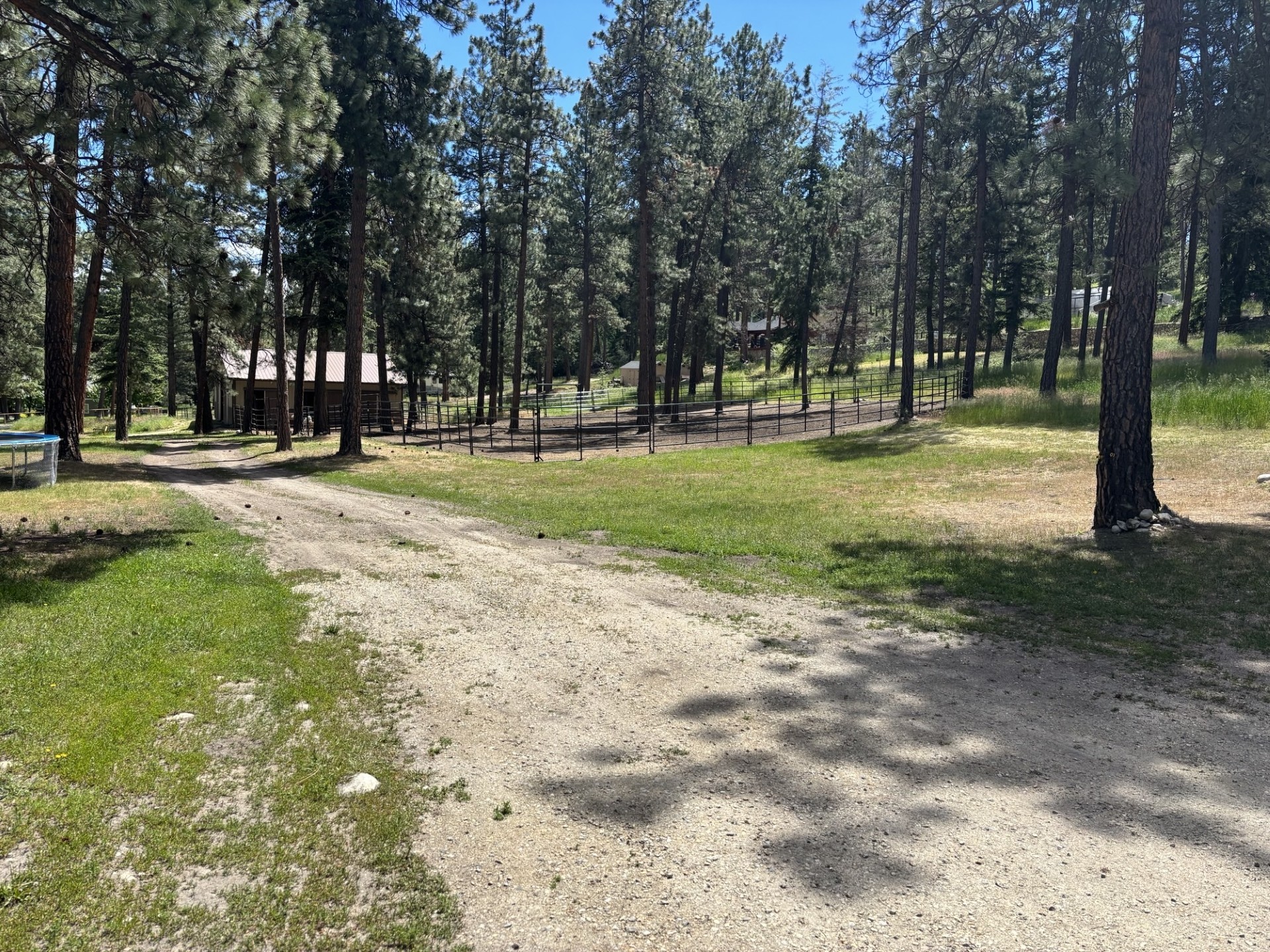 847 Sheafman Creek Road Property Photo 17