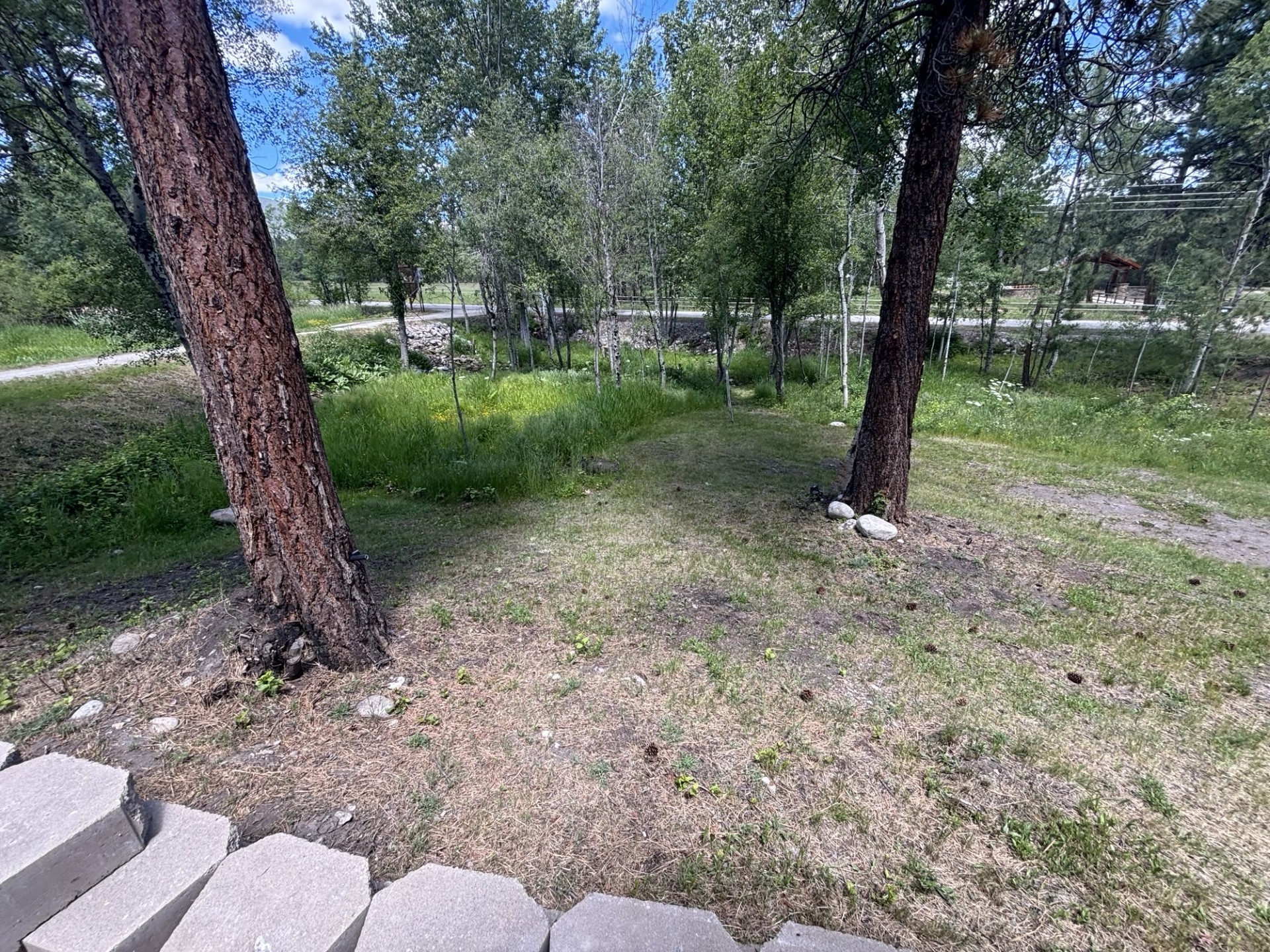 847 Sheafman Creek Road Property Photo 18