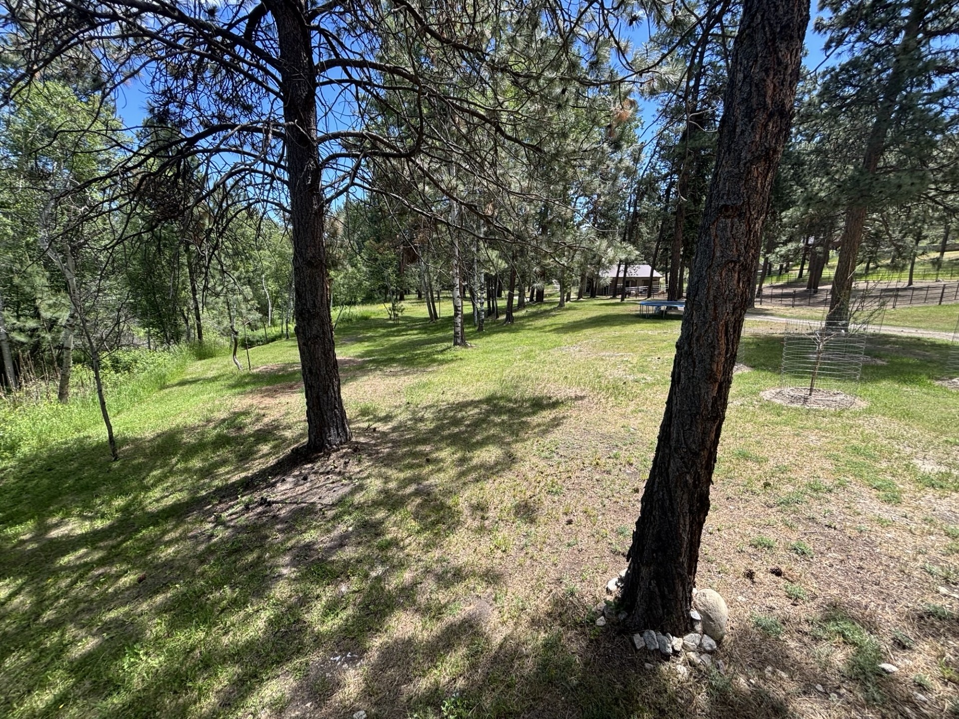 847 Sheafman Creek Road Property Photo 20