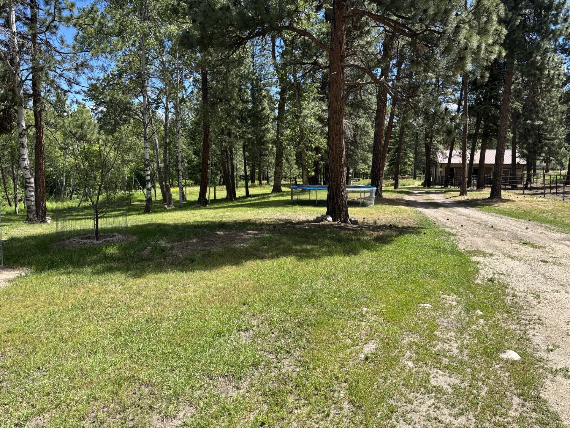 847 Sheafman Creek Road Property Photo 21