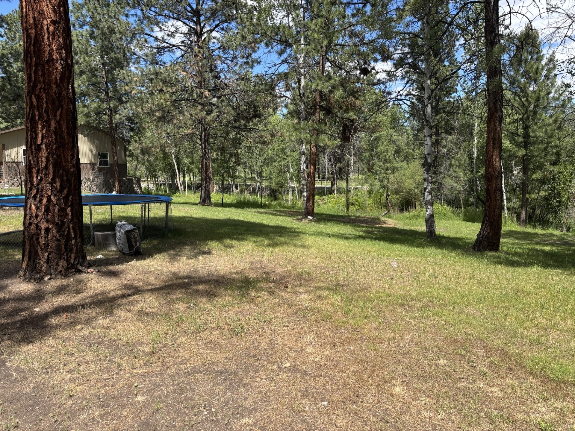 847 Sheafman Creek Road Property Photo 22