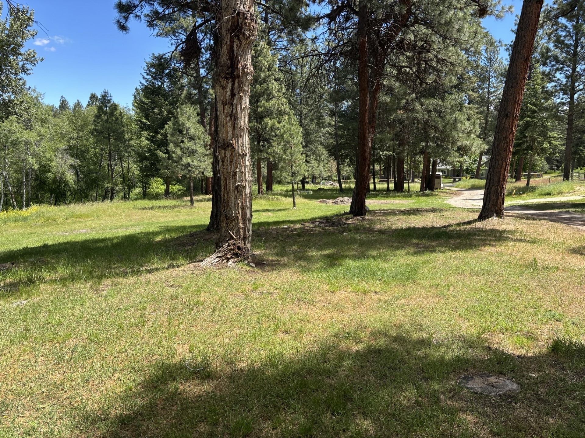 847 Sheafman Creek Road Property Photo 26